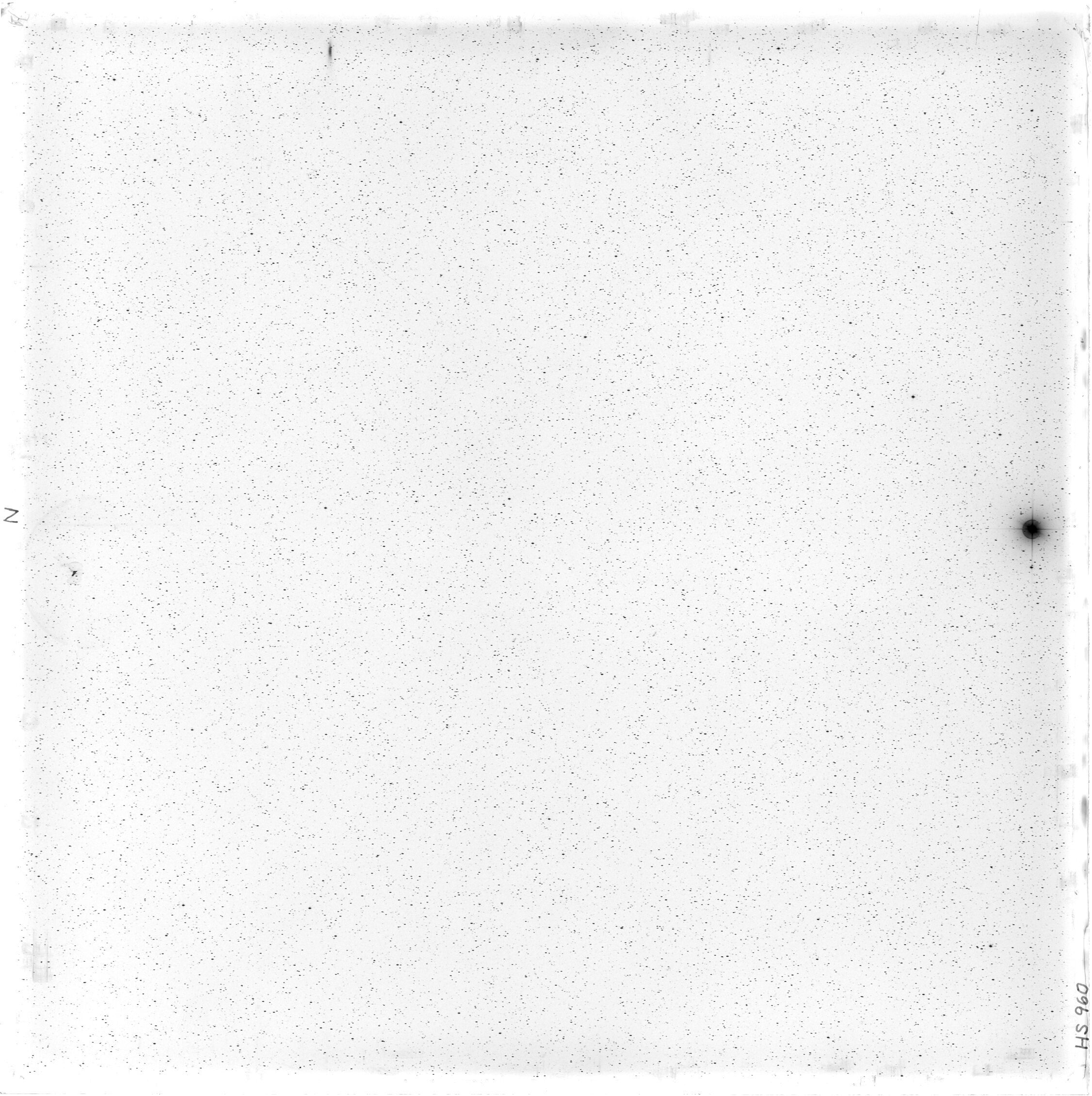 Scan HS00960