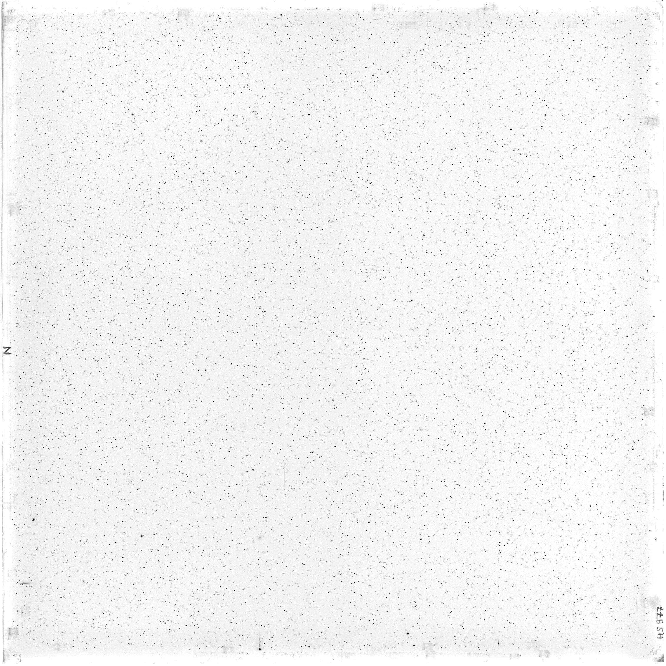 Scan HS00977