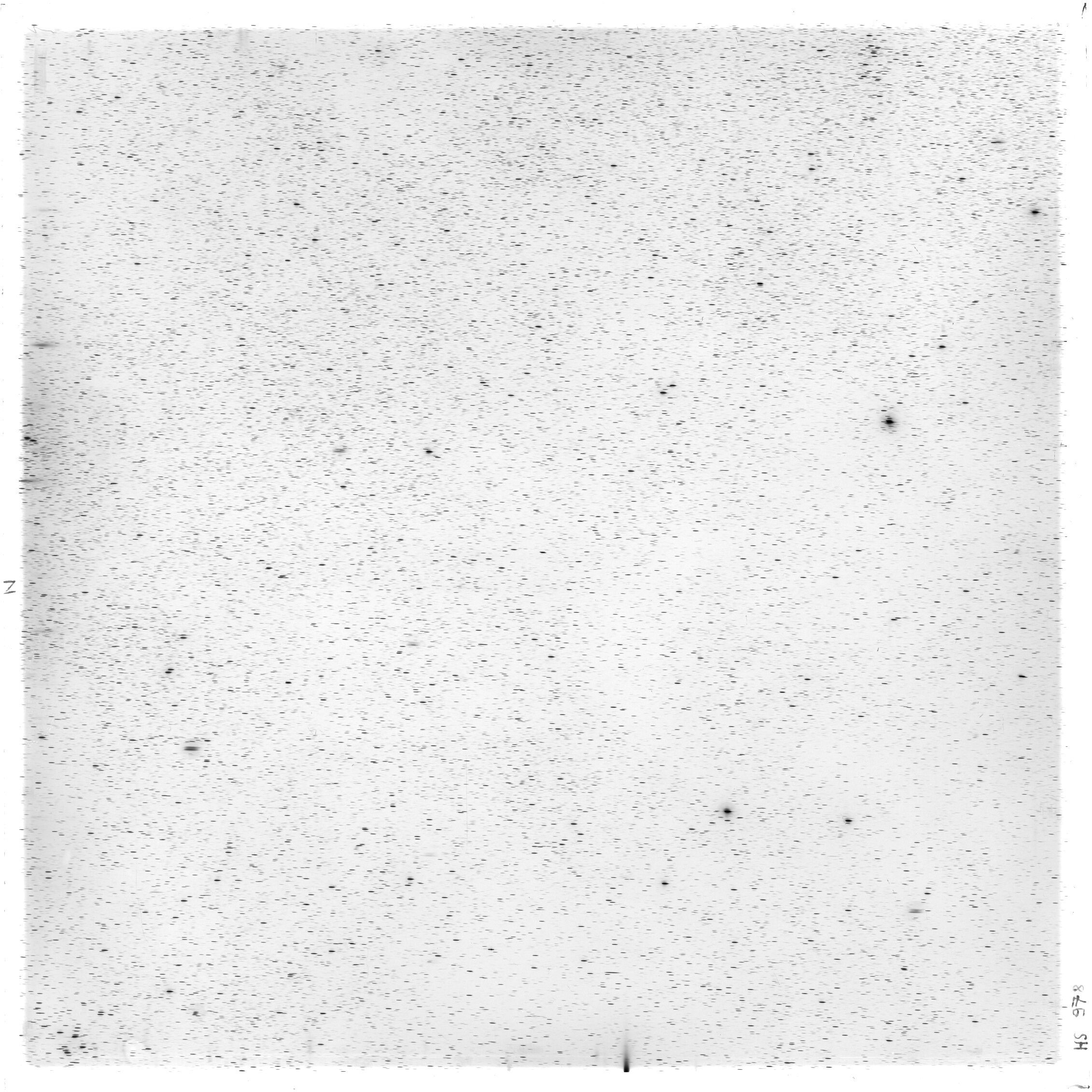 Scan HS00978