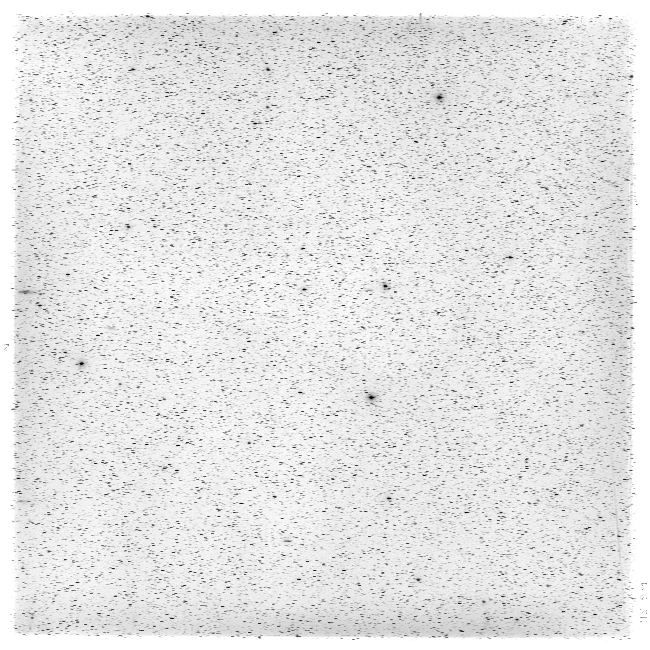 Scan HS00981