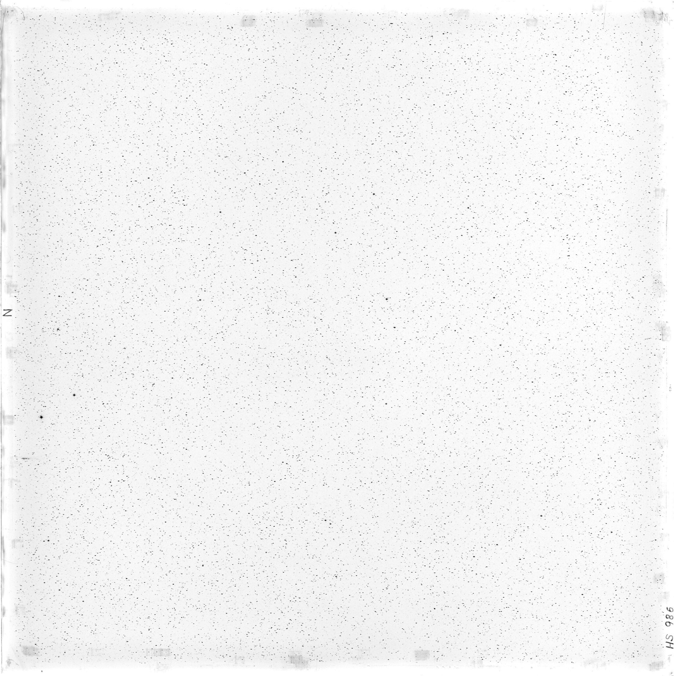 Scan HS00986