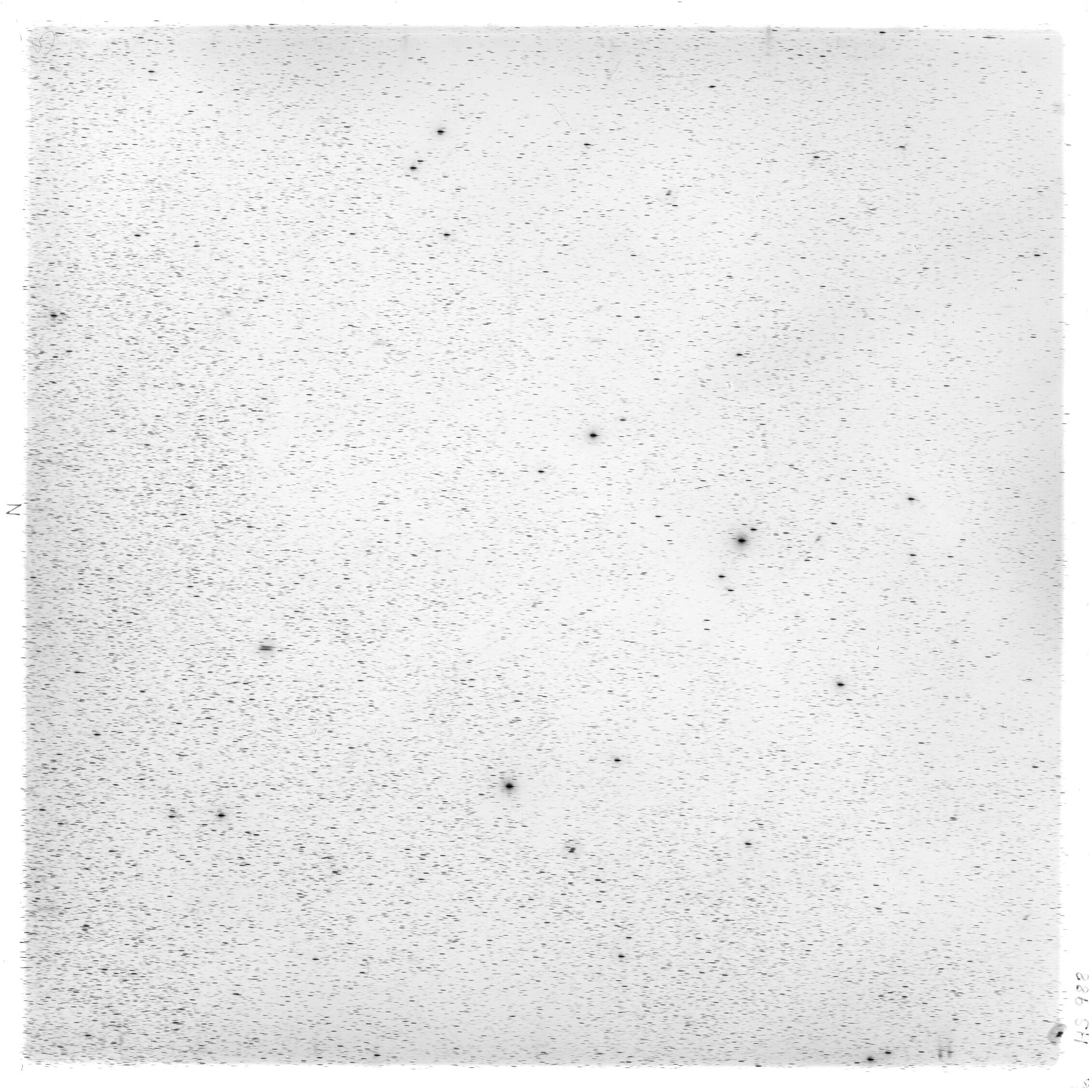 Scan HS00988