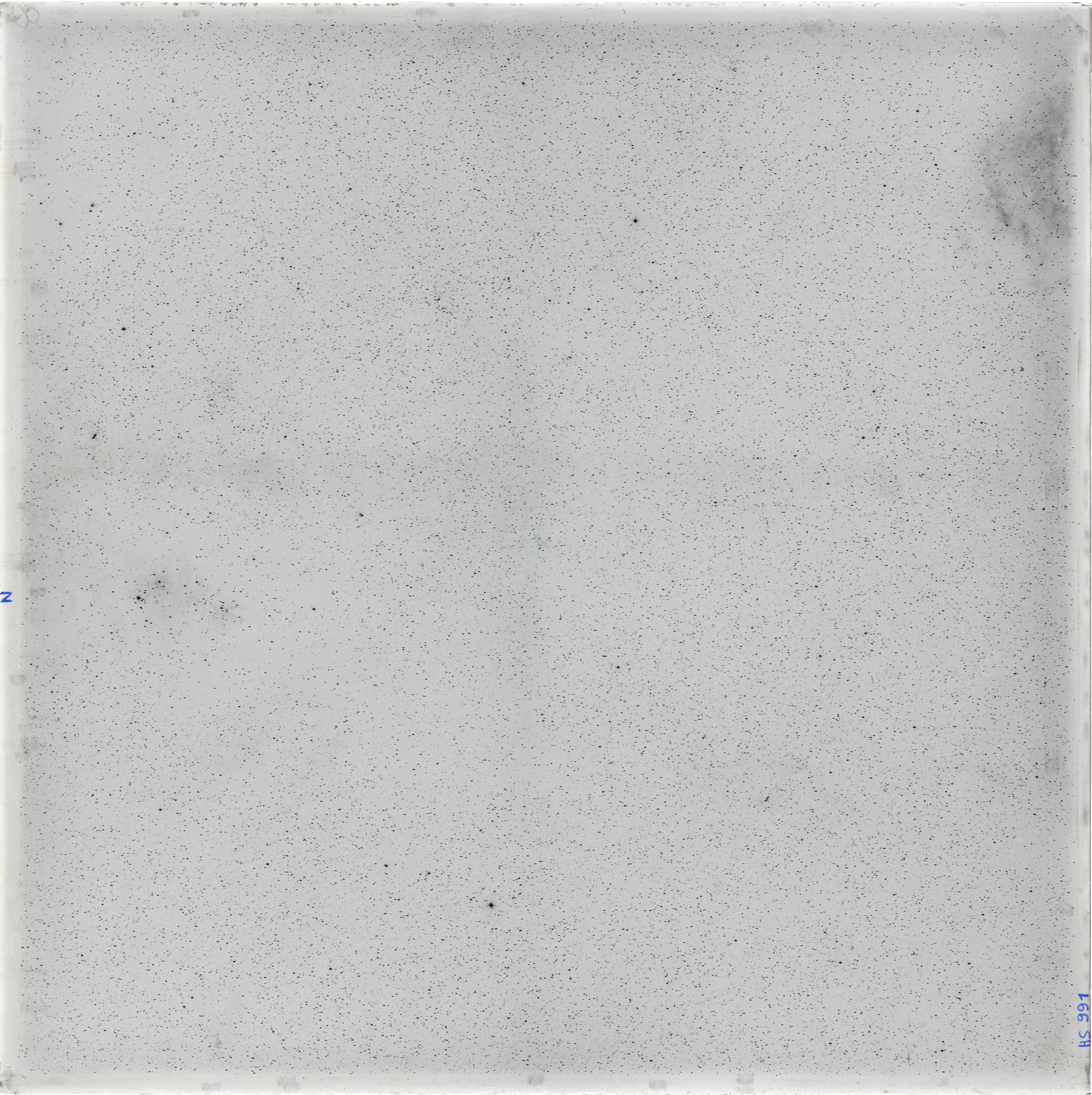 Scan HS00991