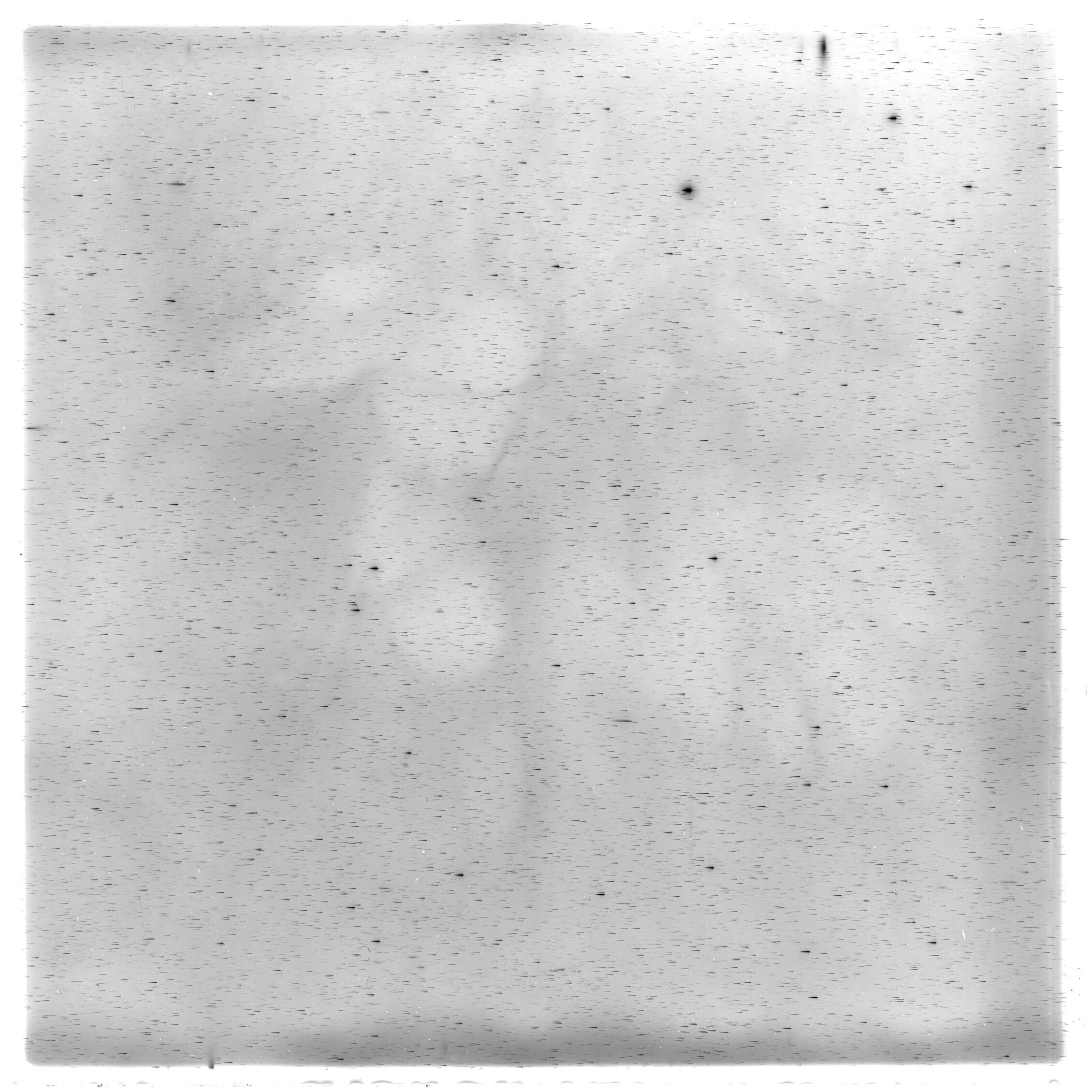 Scan HS01066
