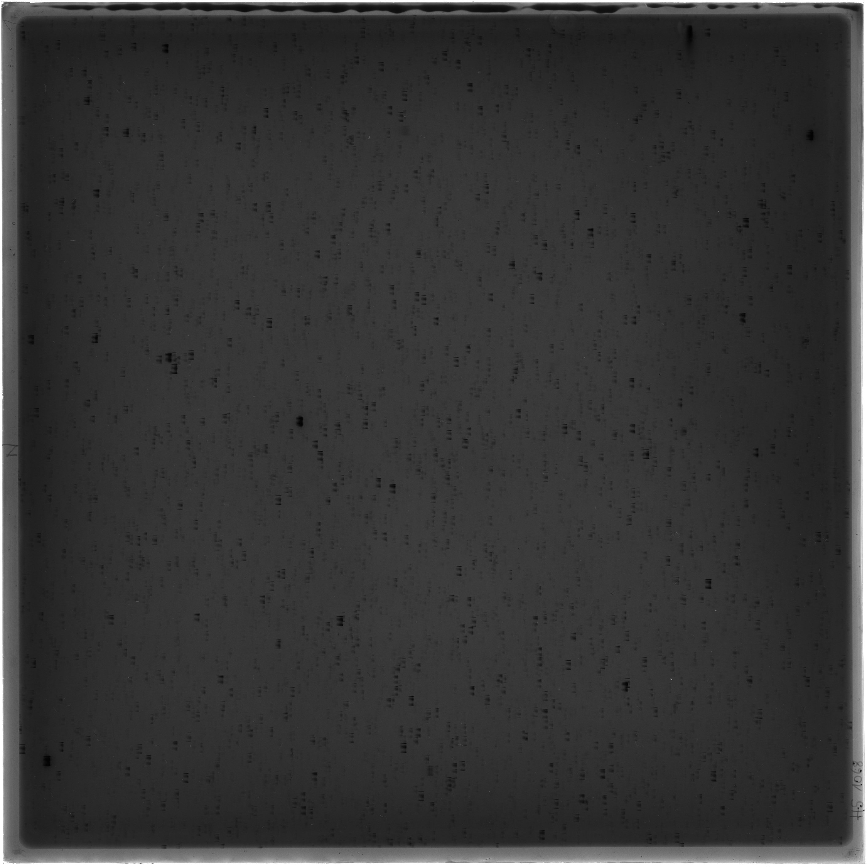 Scan HS01068