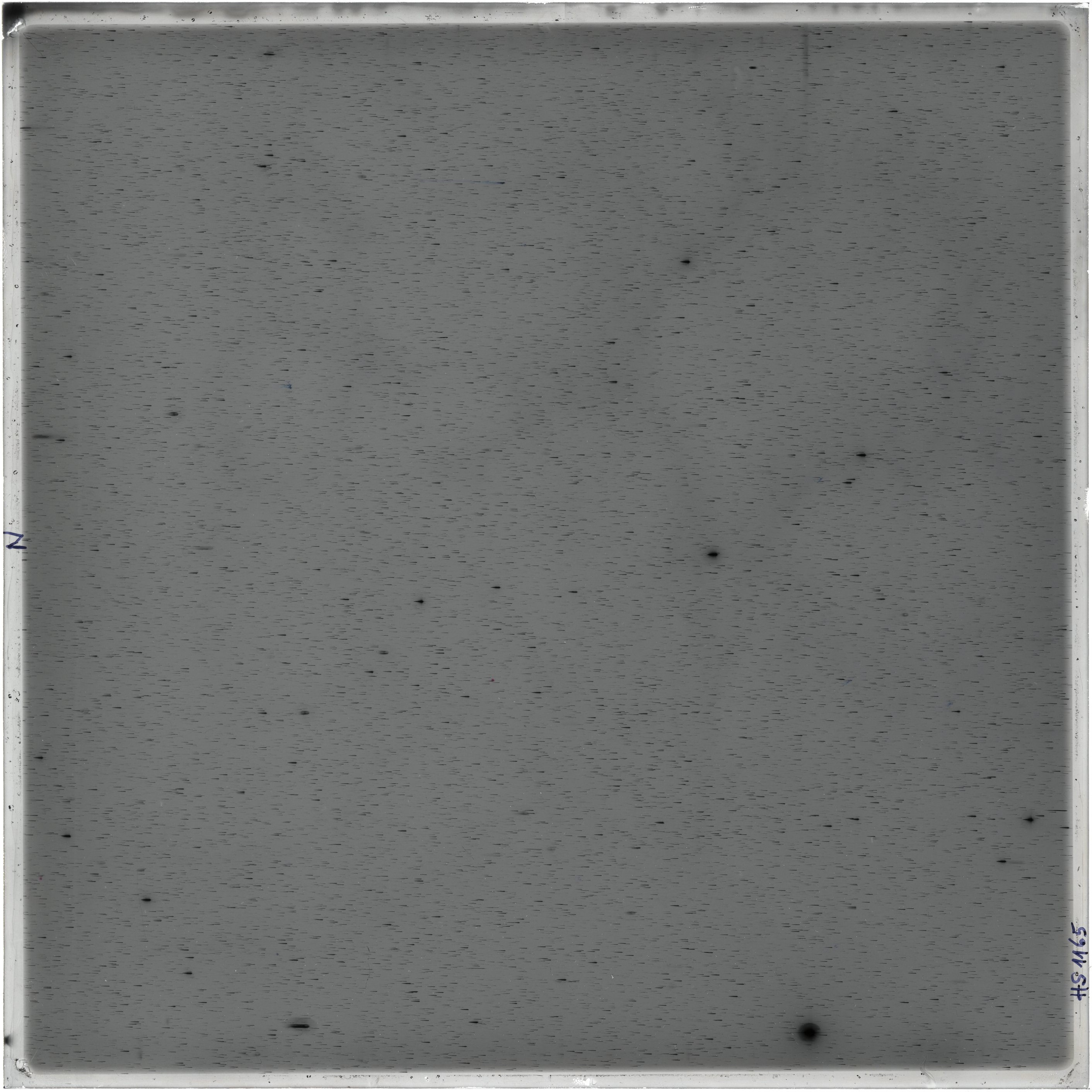 Scan HS01165