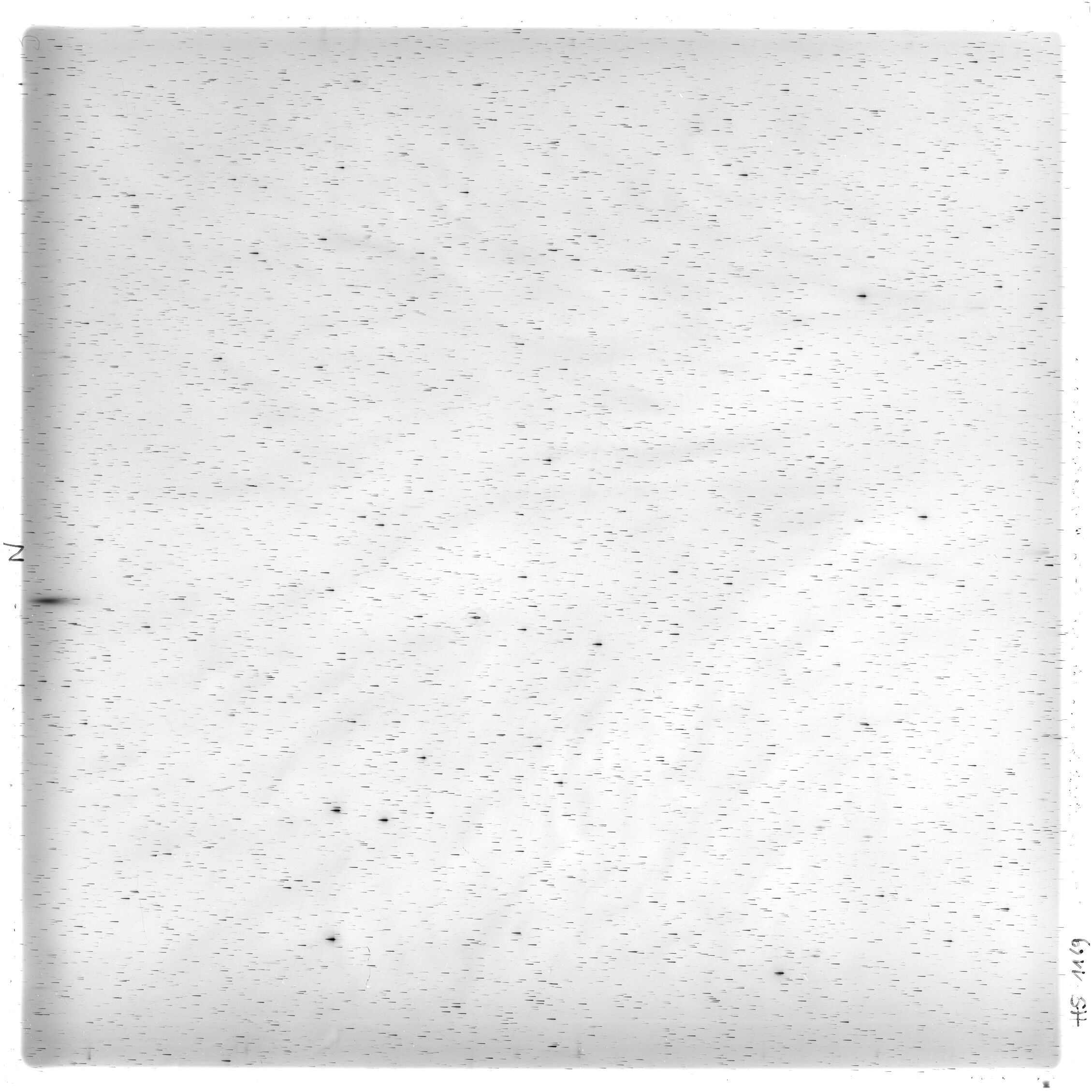 Scan HS01169