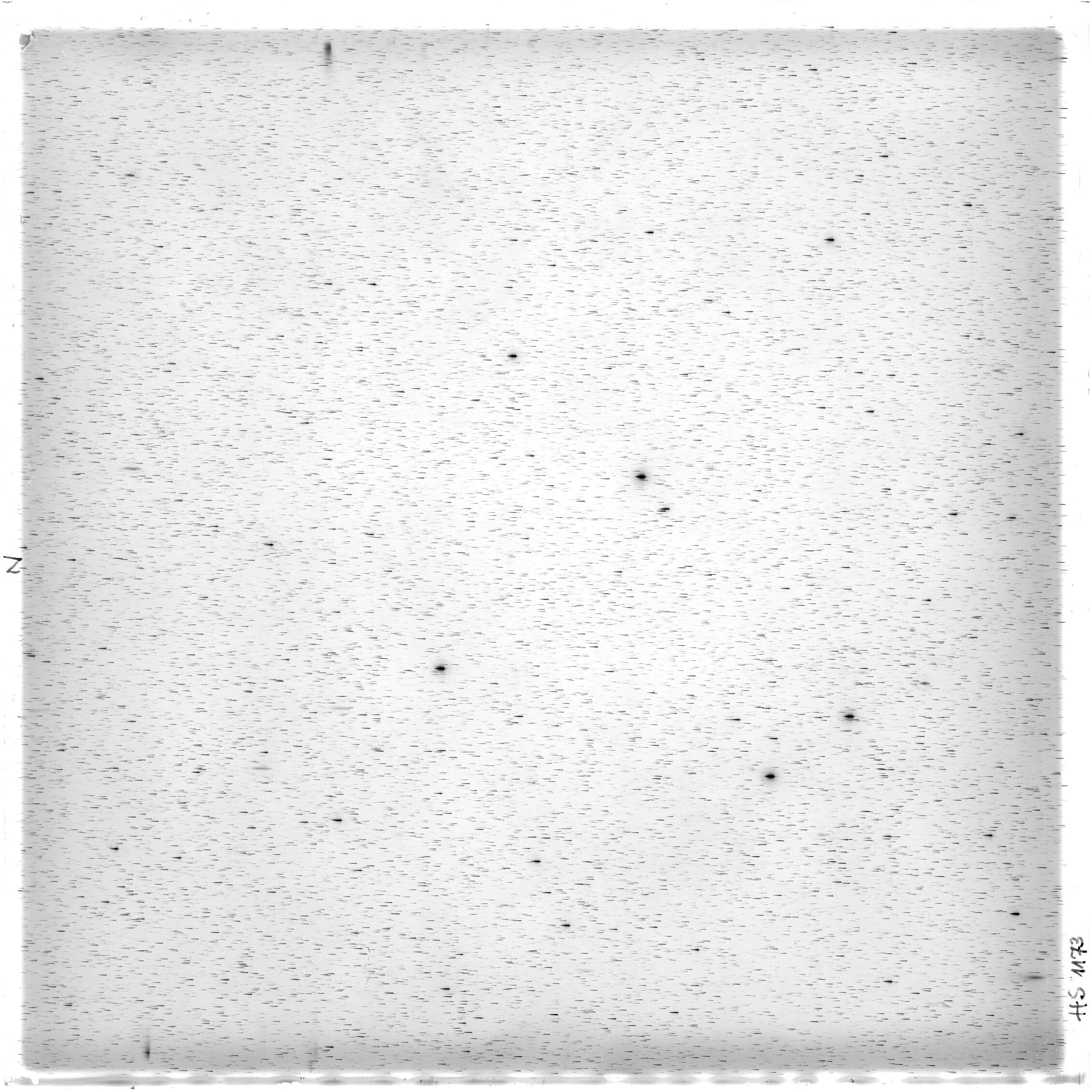 Scan HS01173