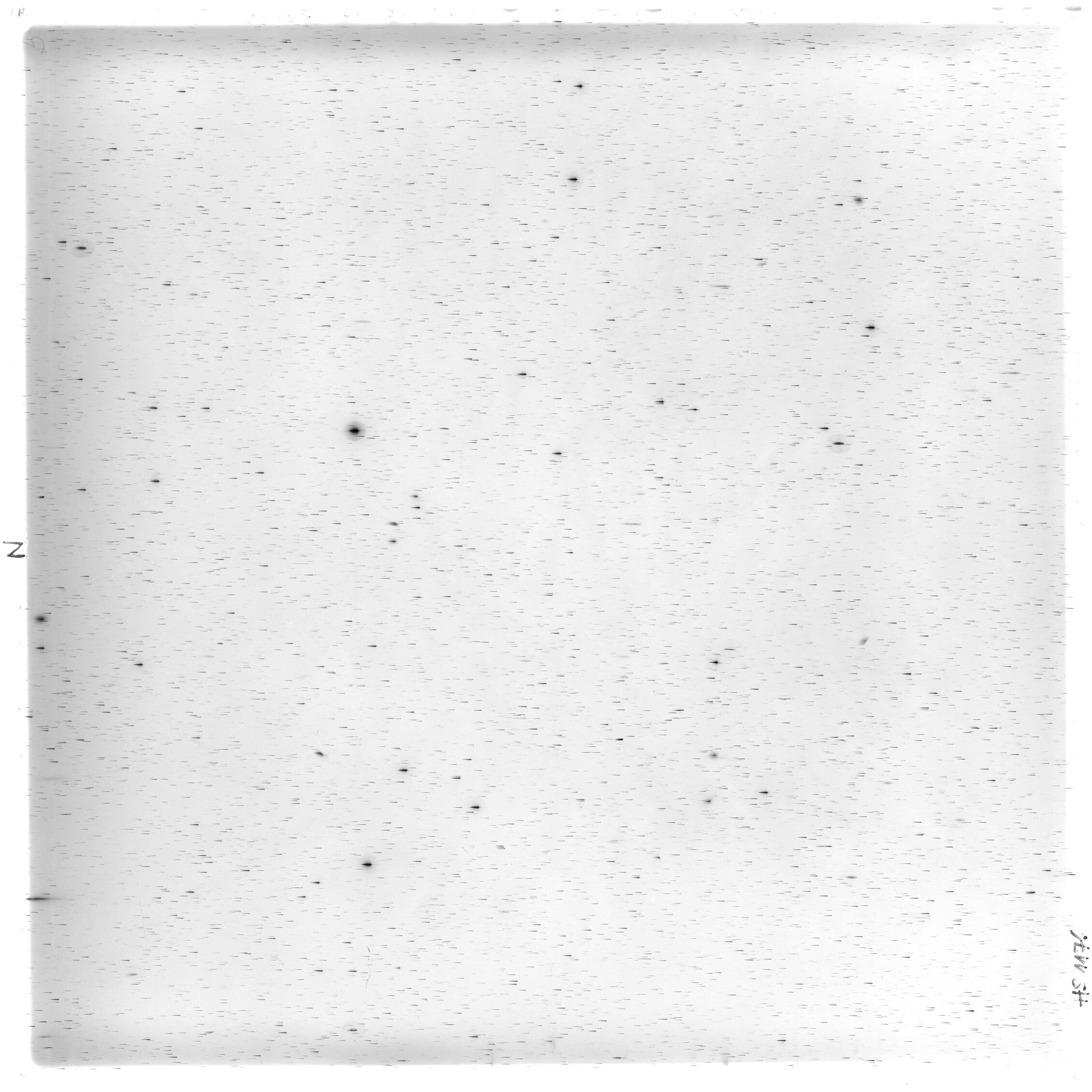 Scan HS01176