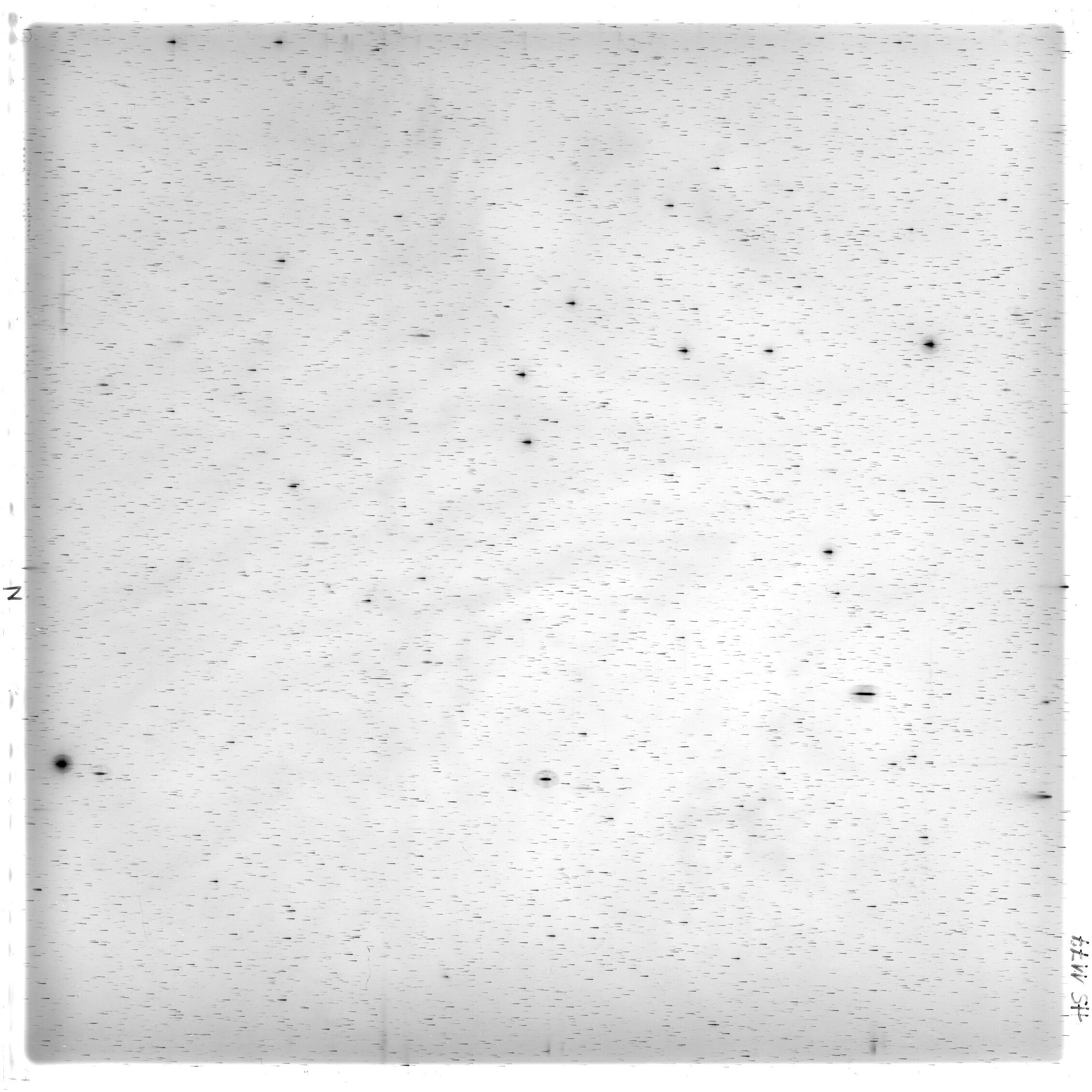Scan HS01177