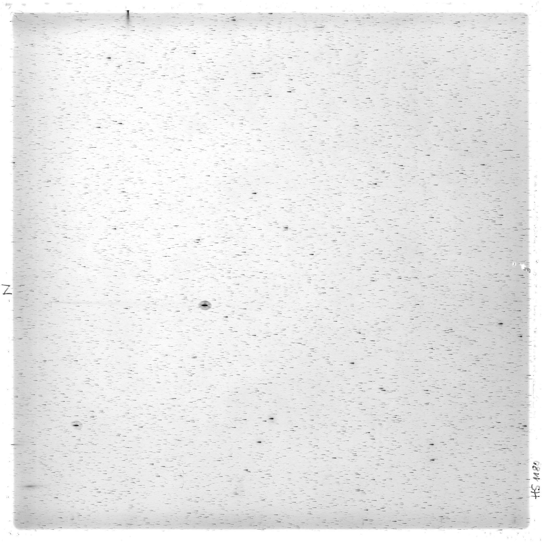 Scan HS01180