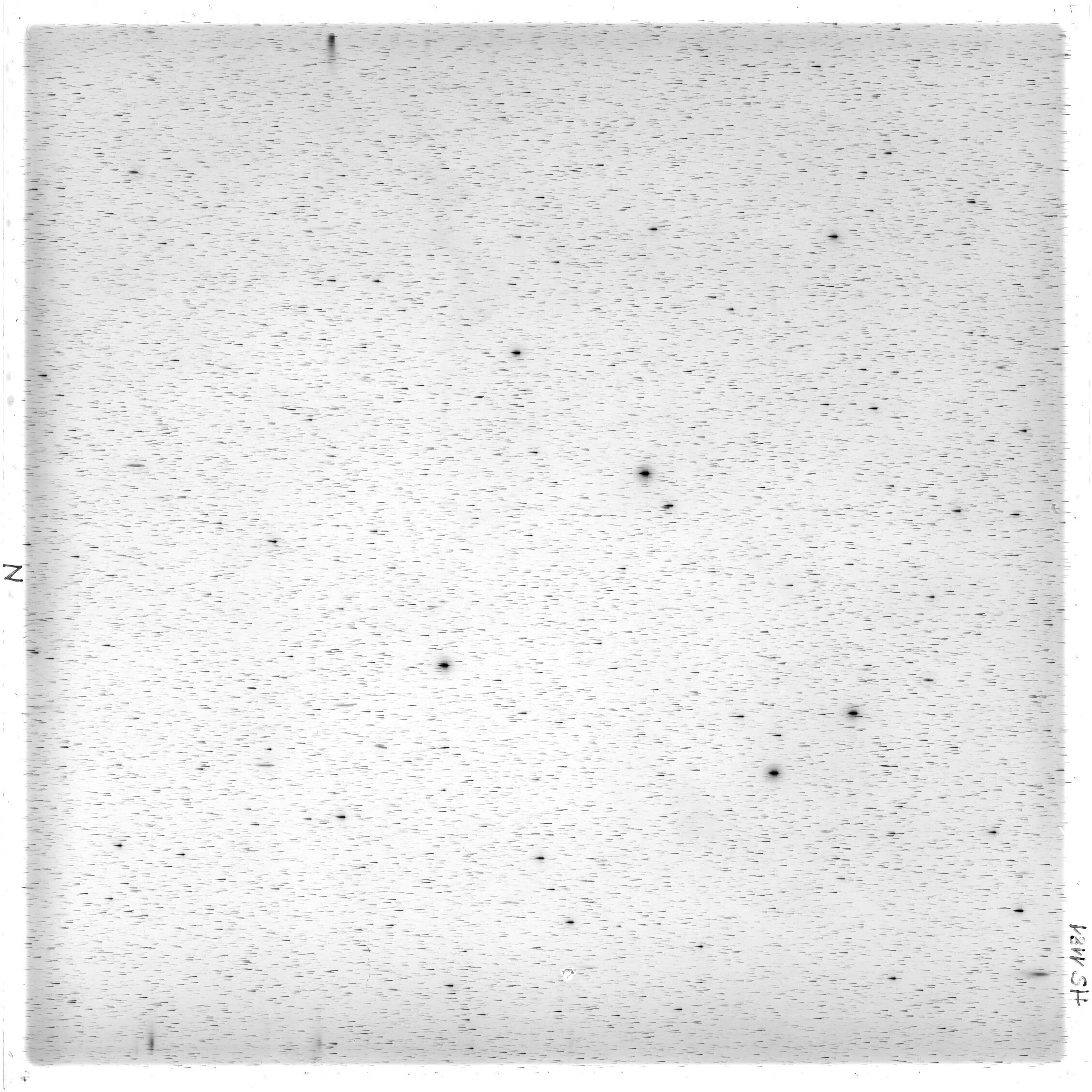 Scan HS01181
