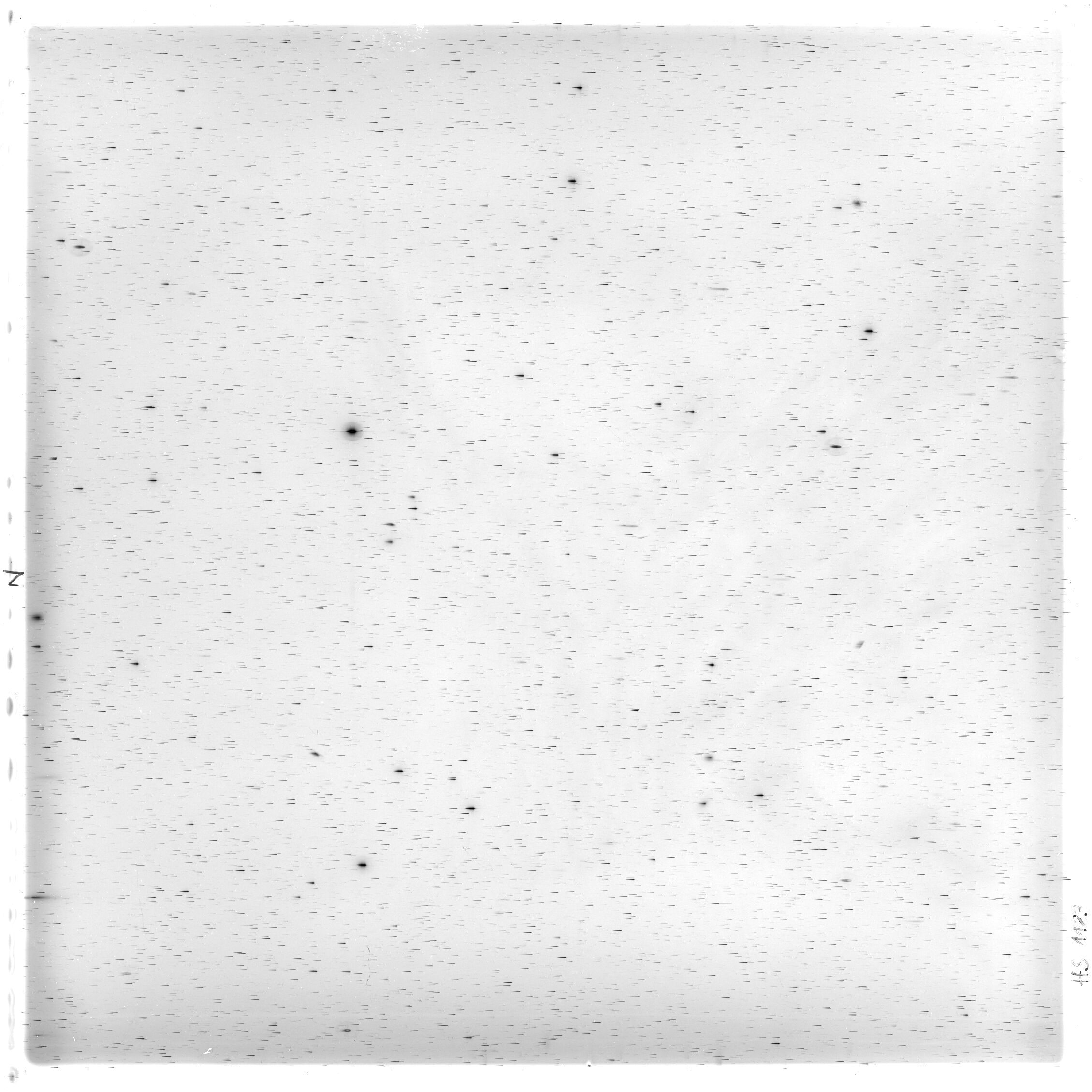 Scan HS01183