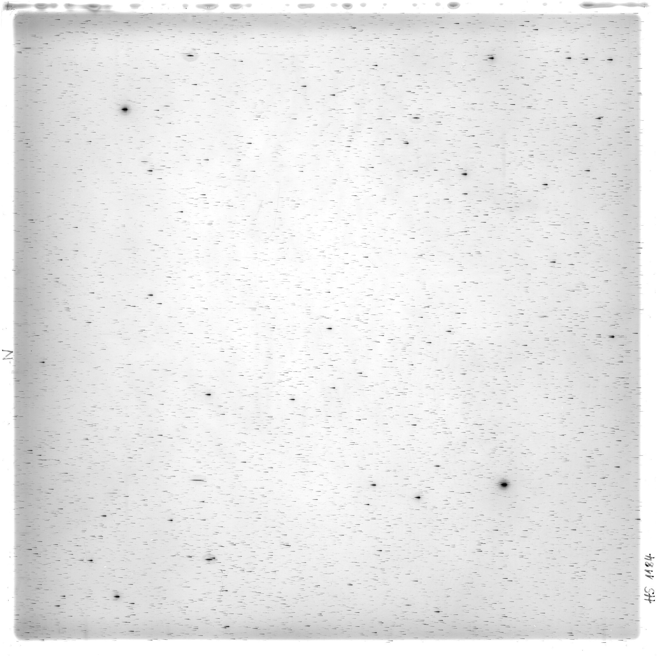 Scan HS01184