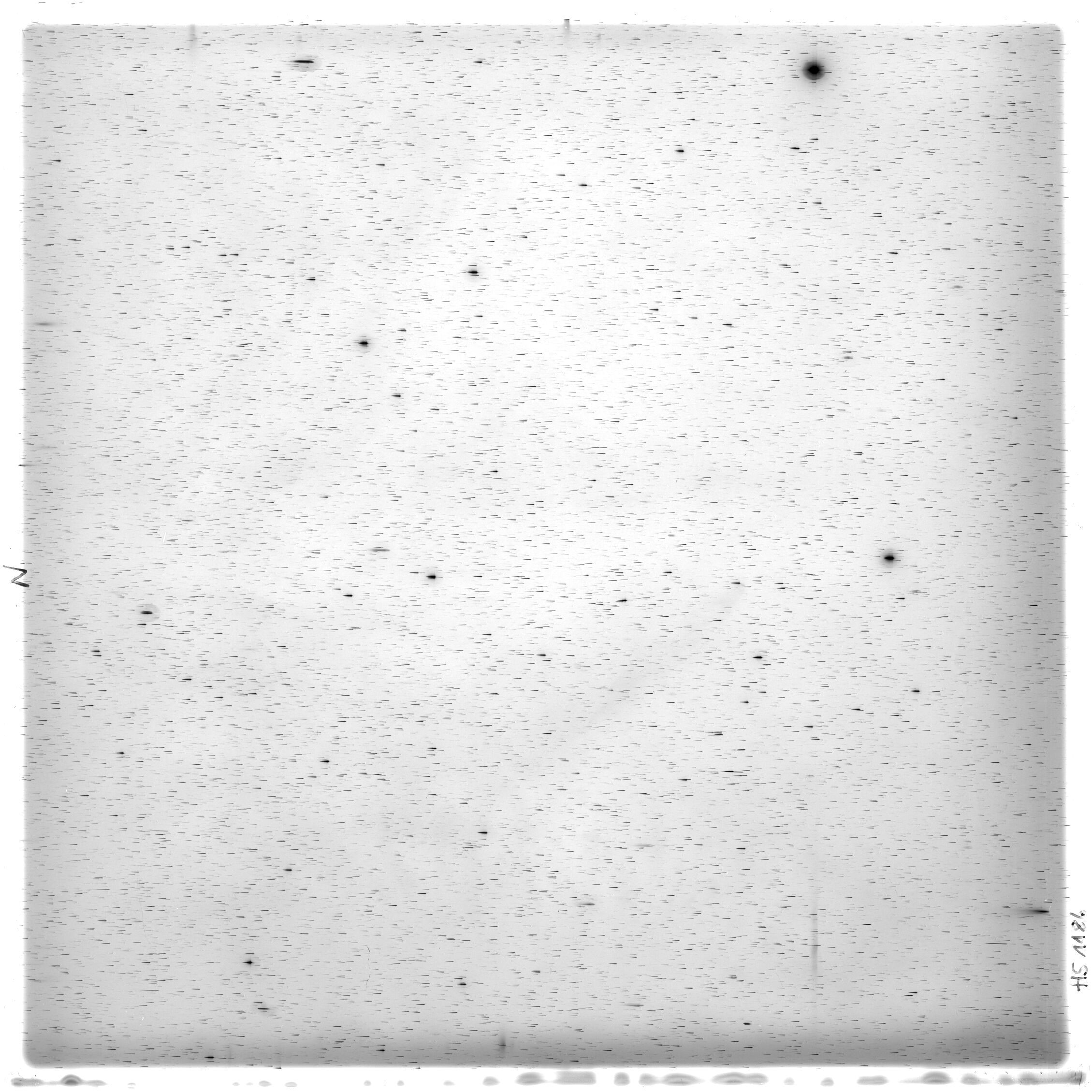 Scan HS01186