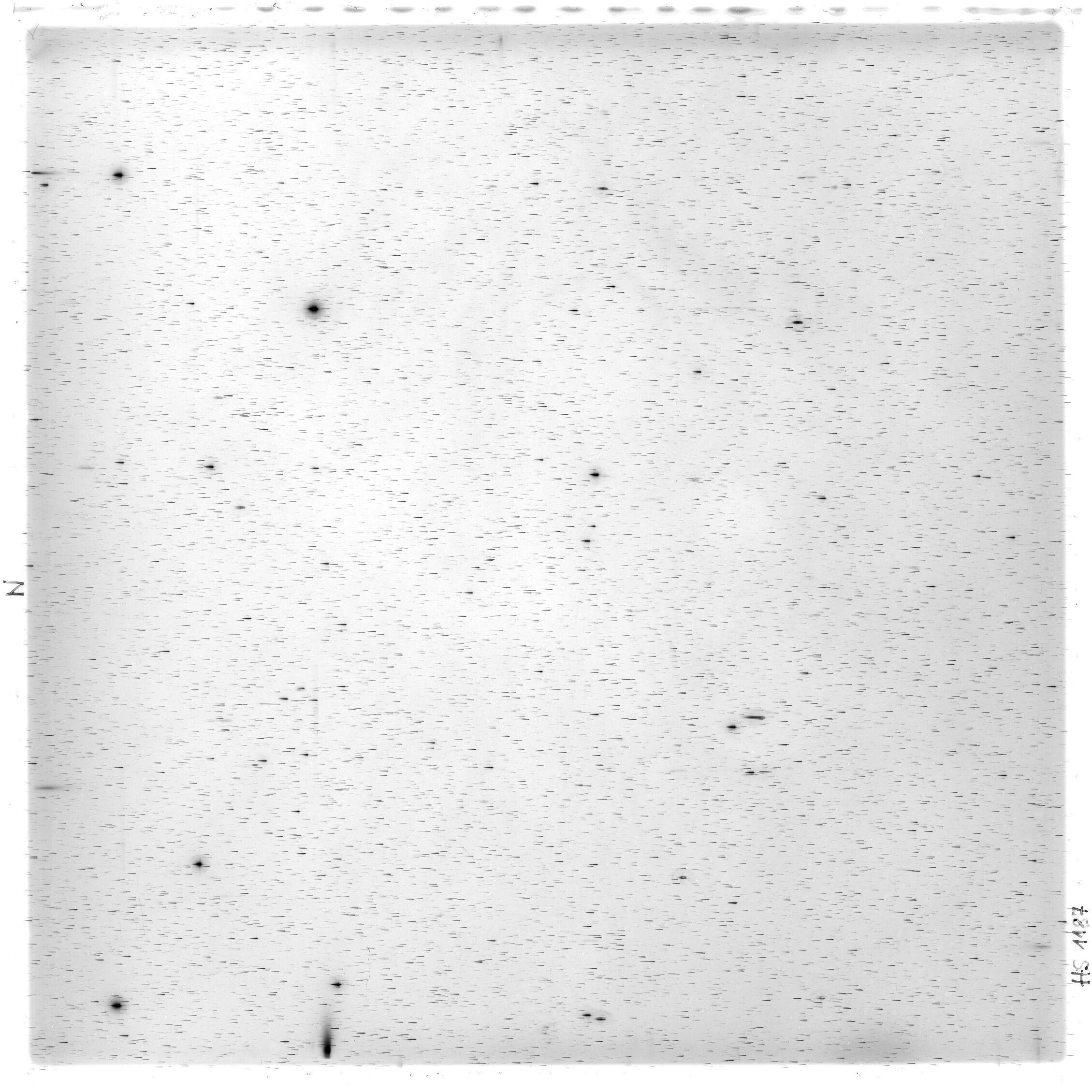 Scan HS01187