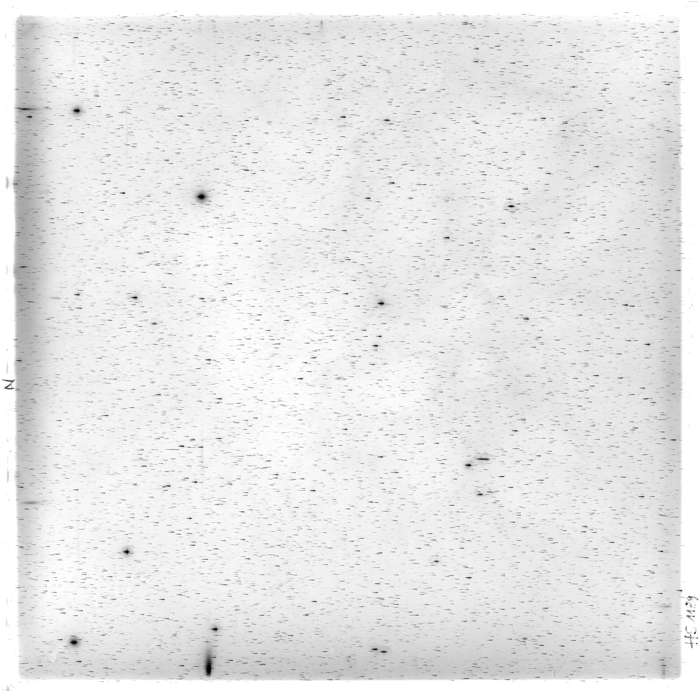 Scan HS01189