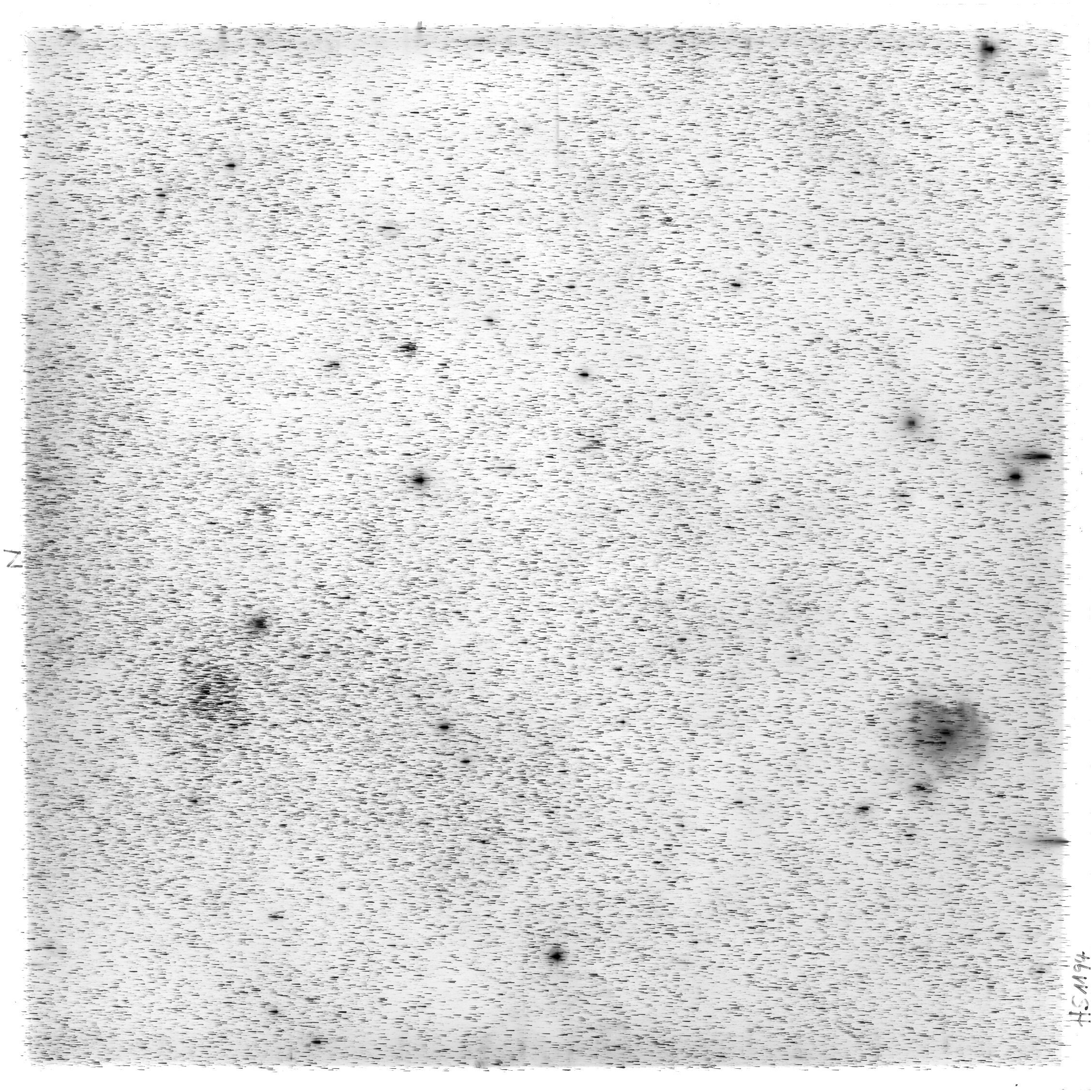 Scan HS01194