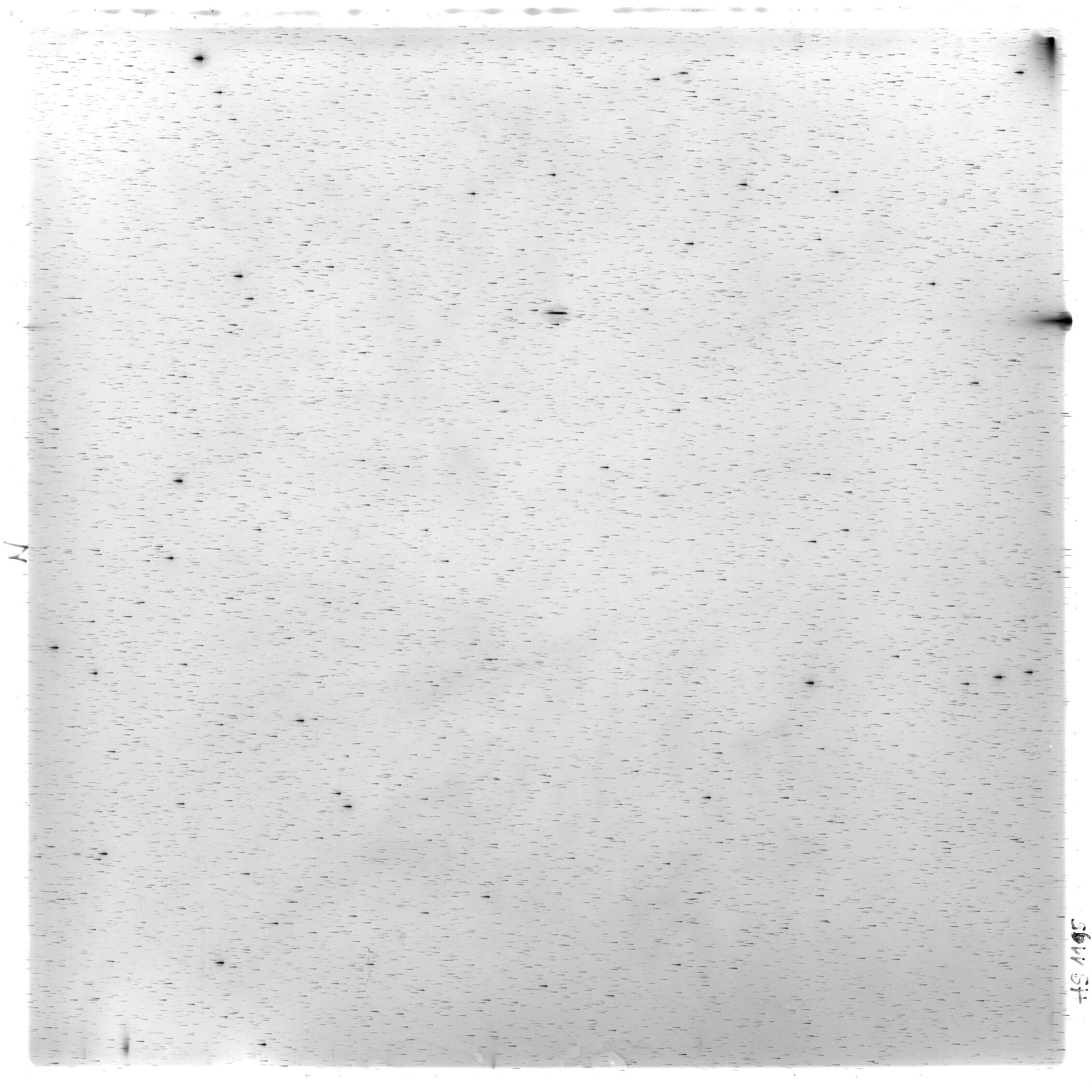 Scan HS01195