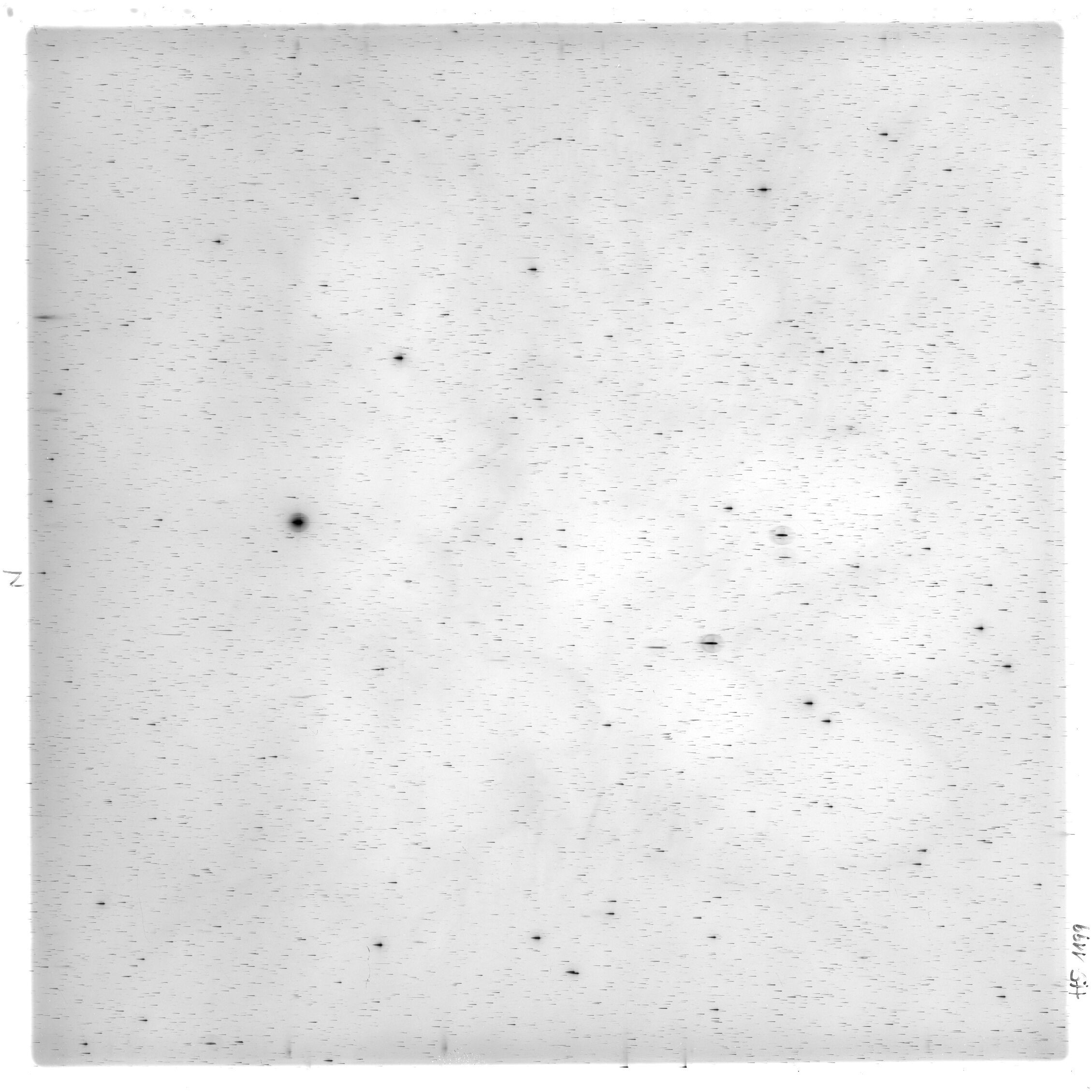 Scan HS01199