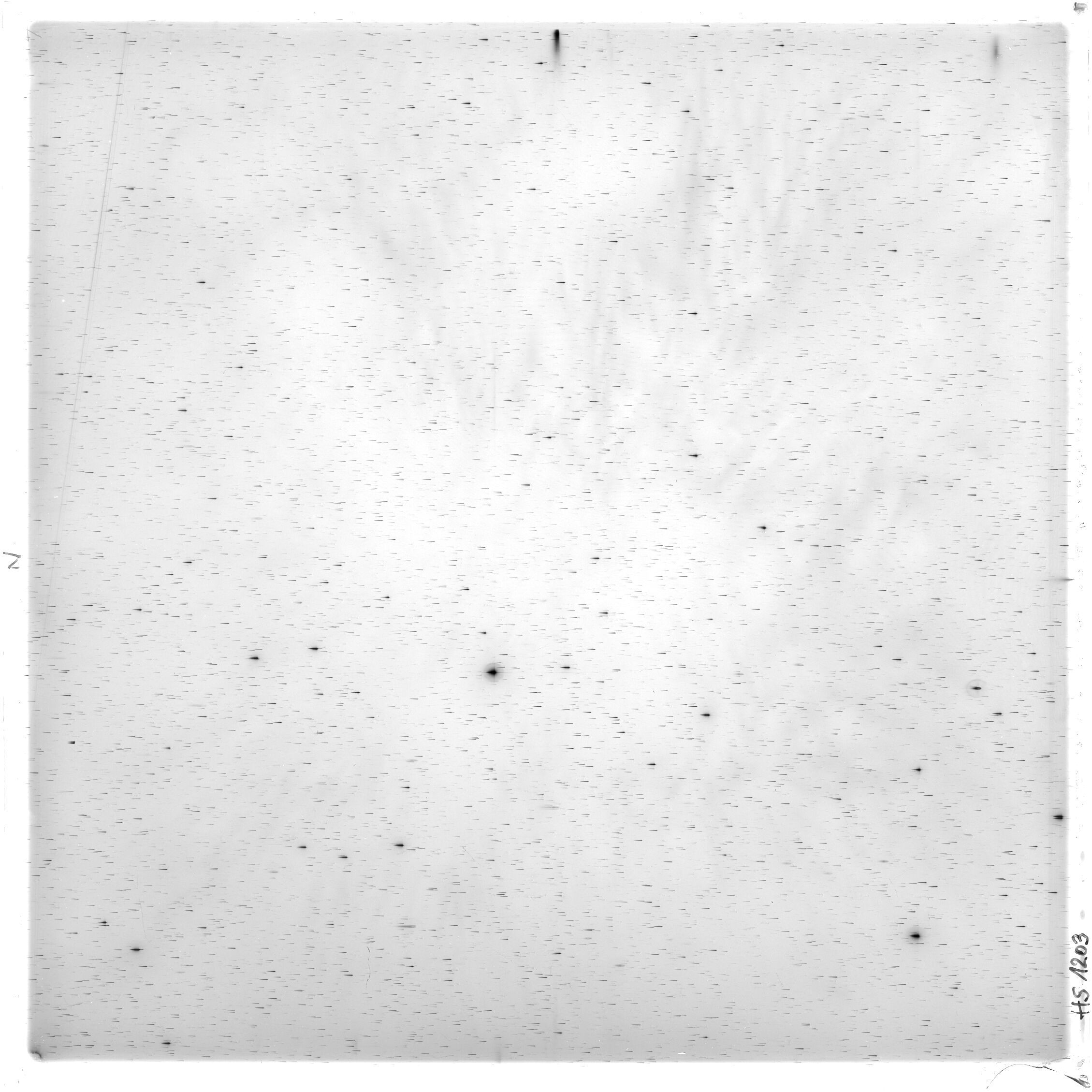 Scan HS01203