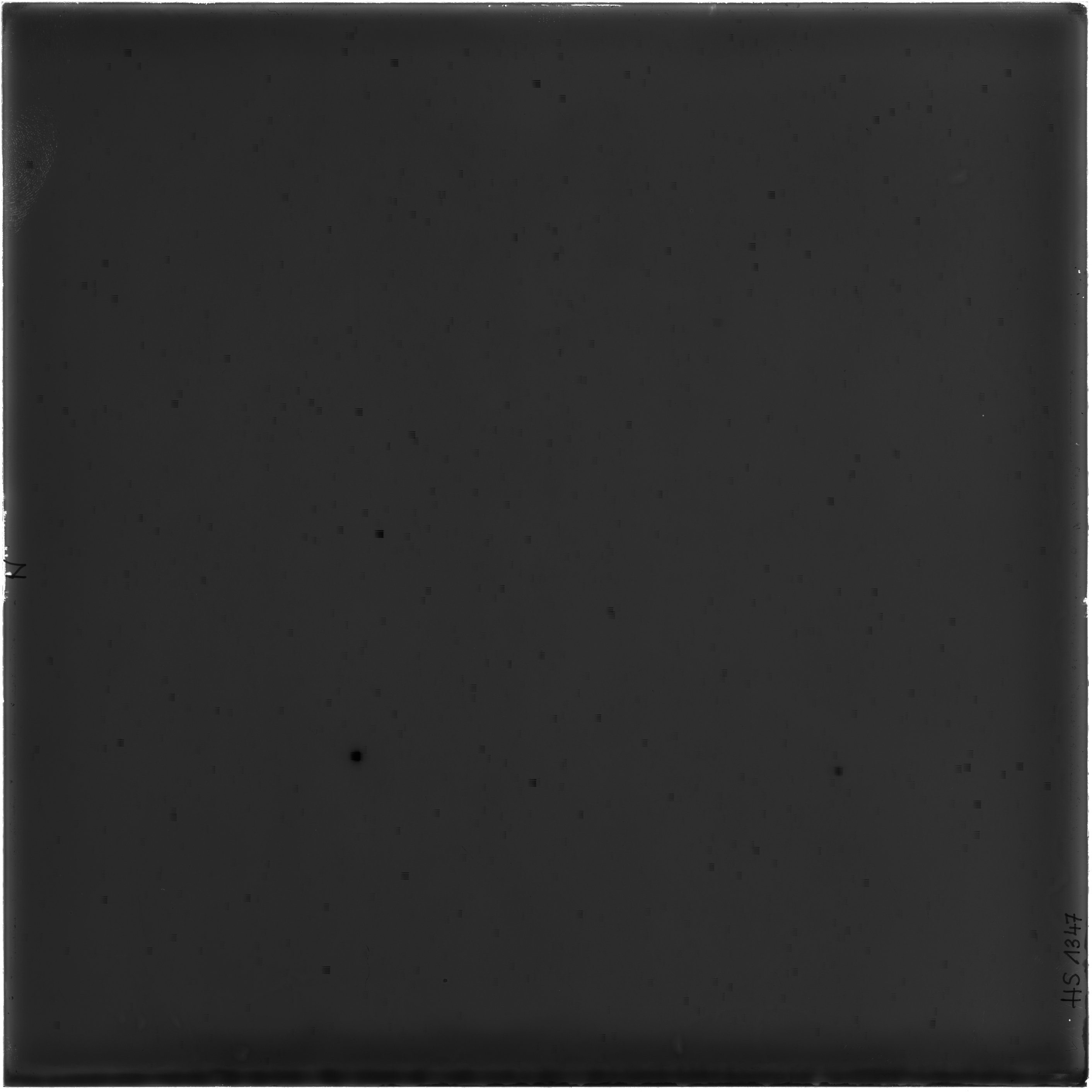 Scan HS01347