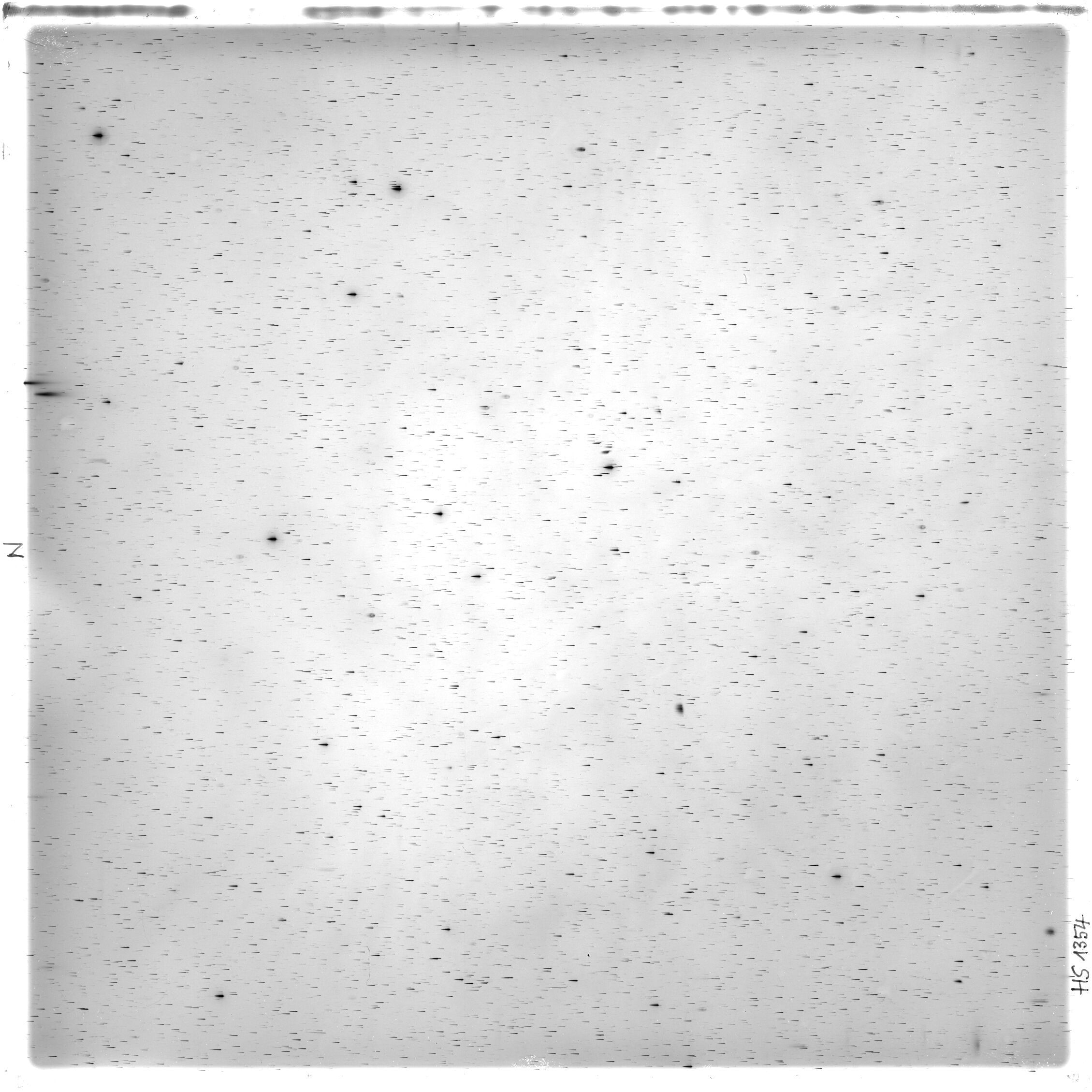 Scan HS01354