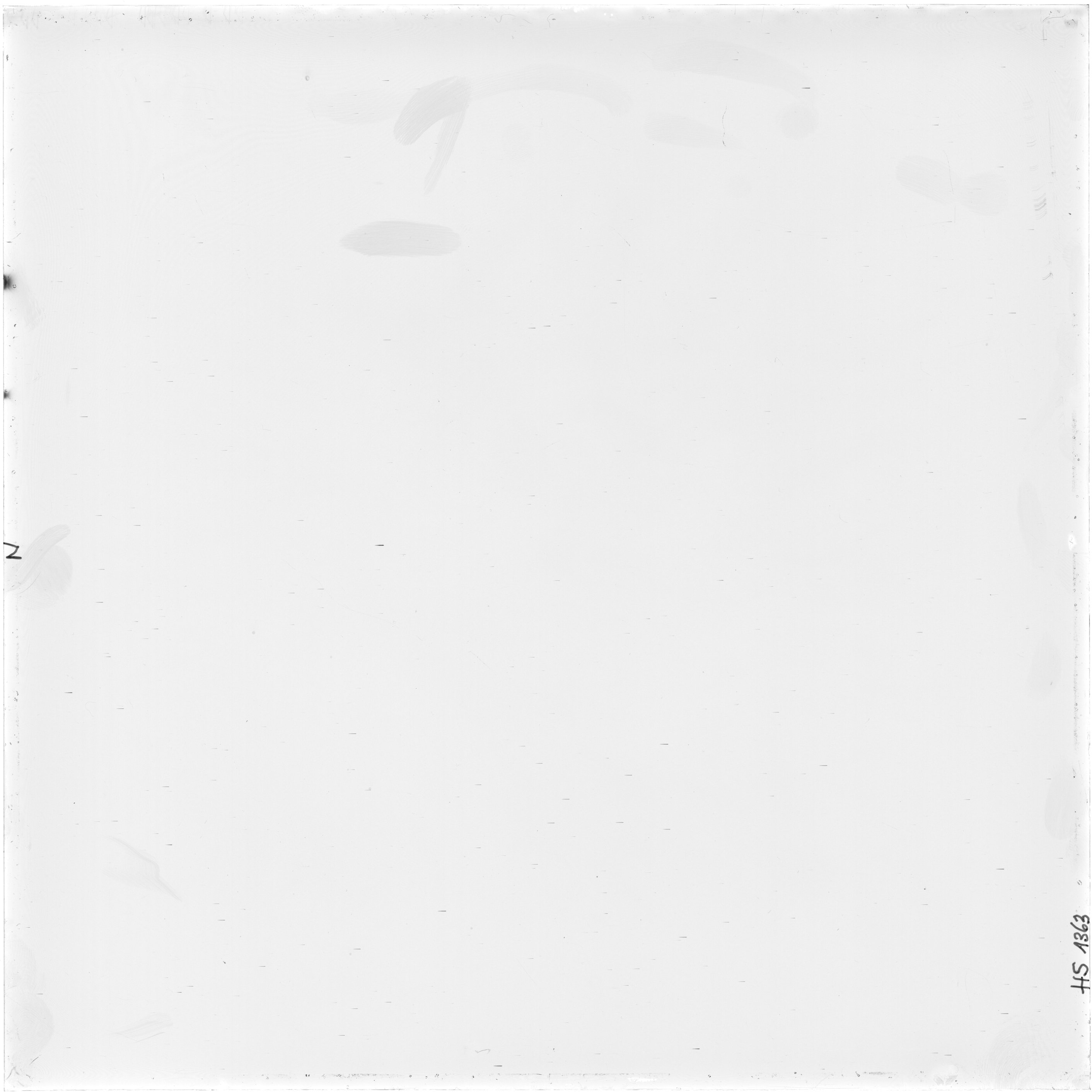 Scan HS01363
