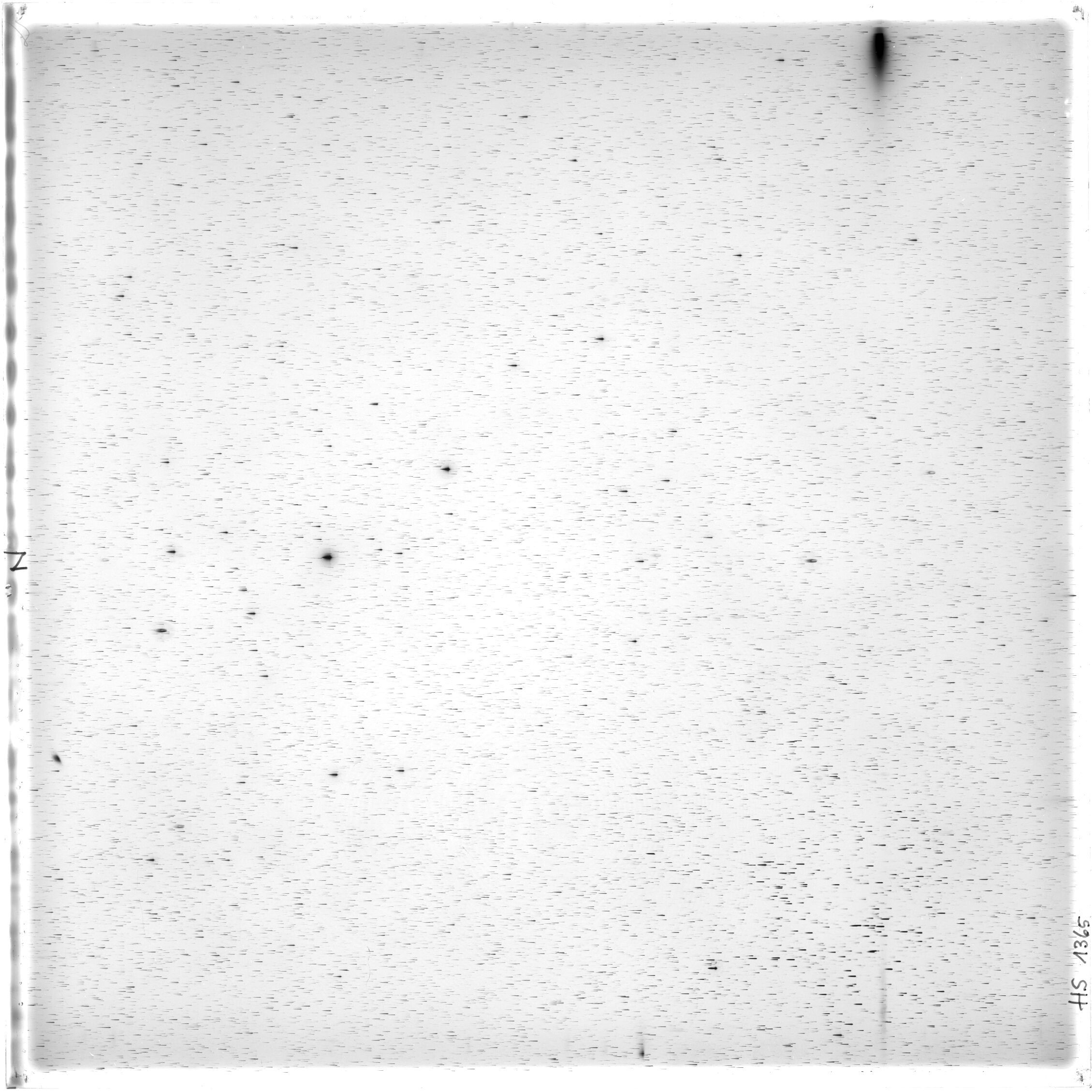Scan HS01365