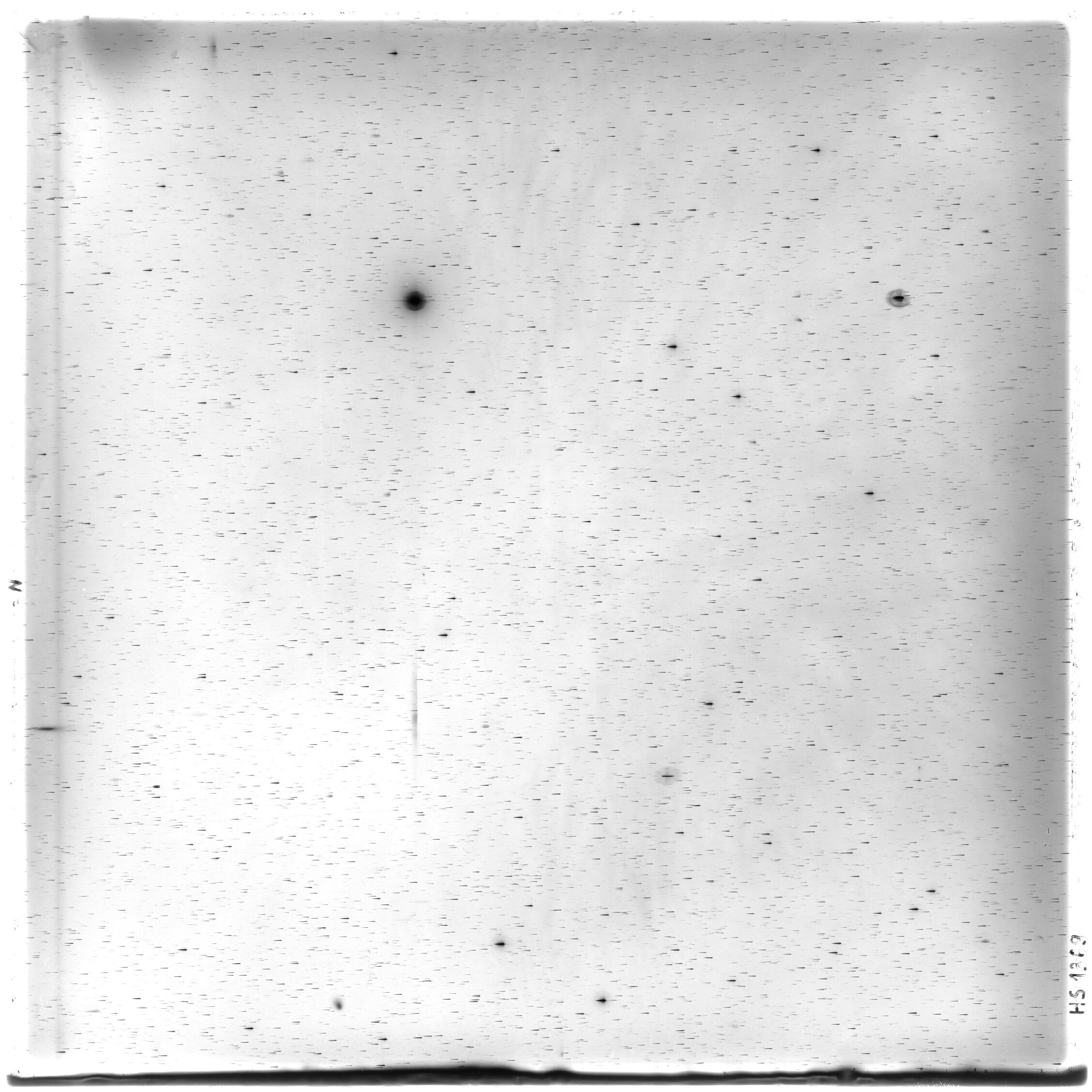 Scan HS01369