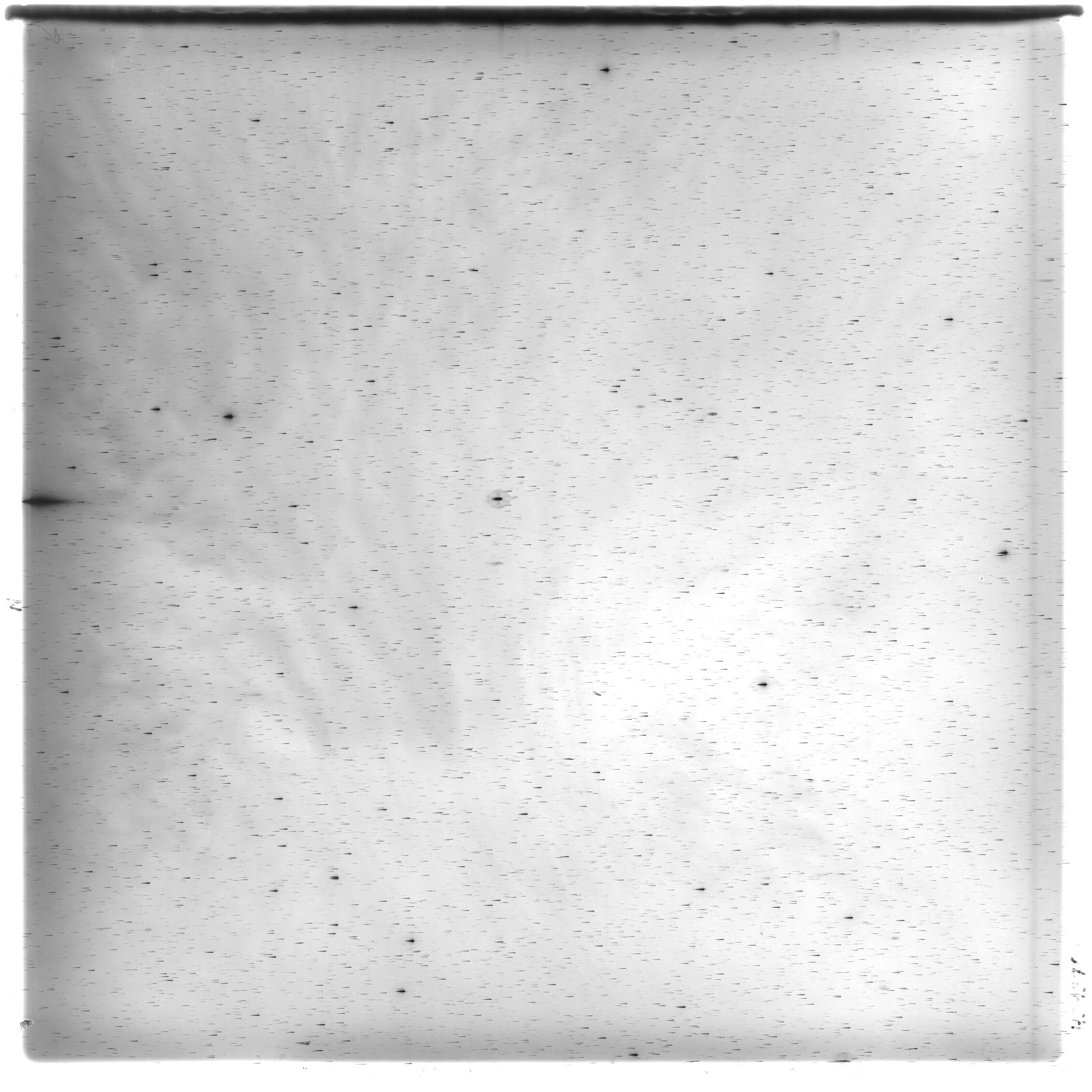 Scan HS01370
