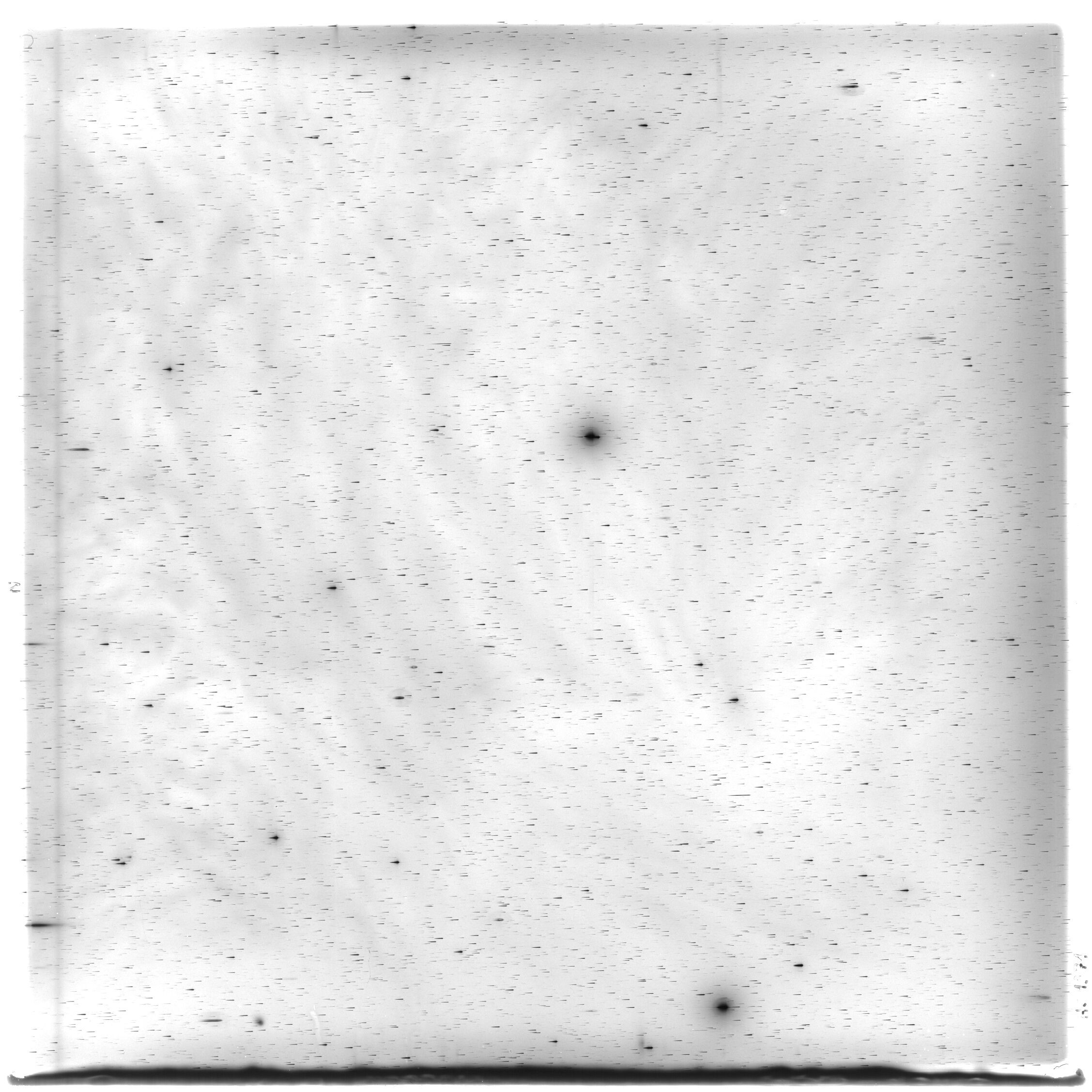 Scan HS01371