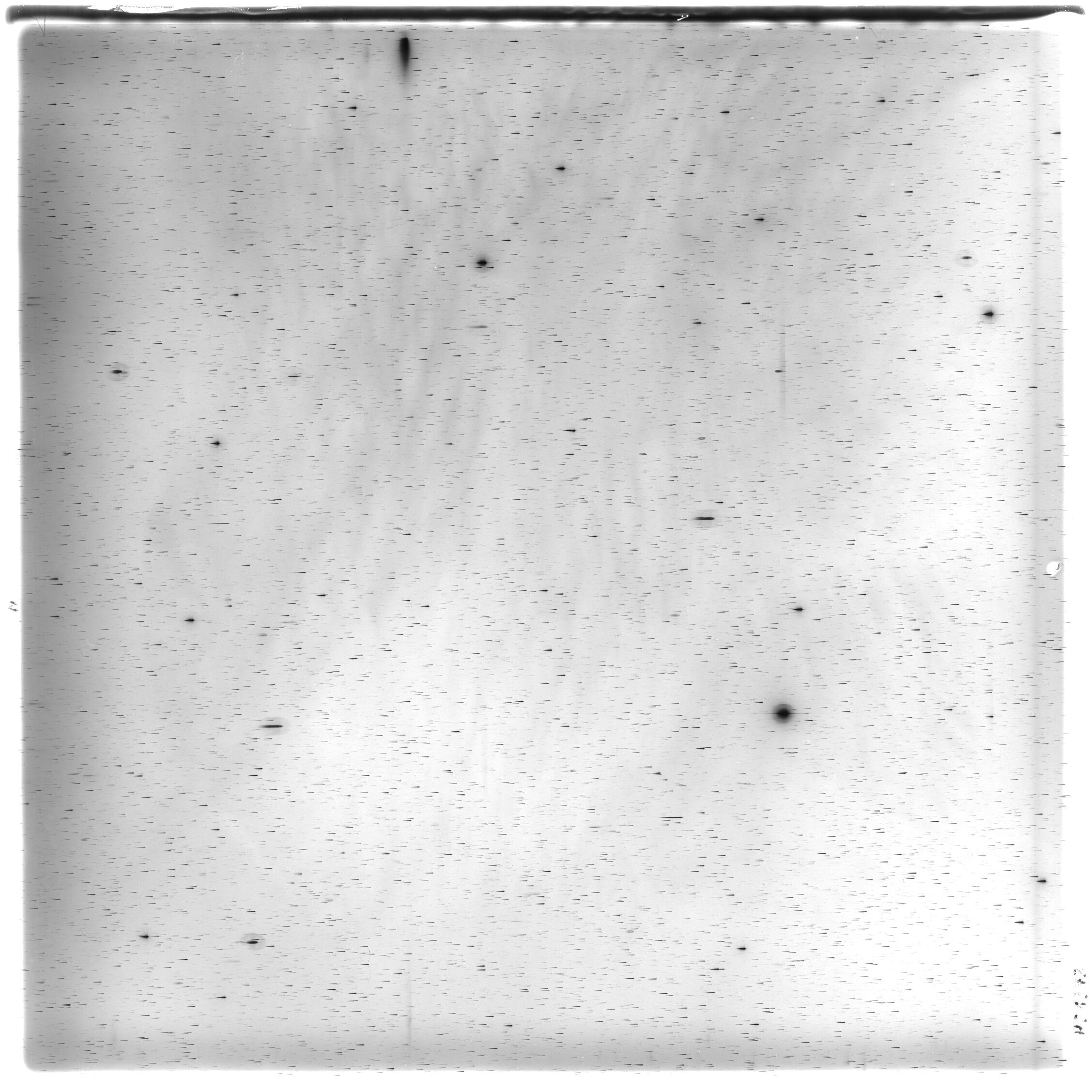 Scan HS01373