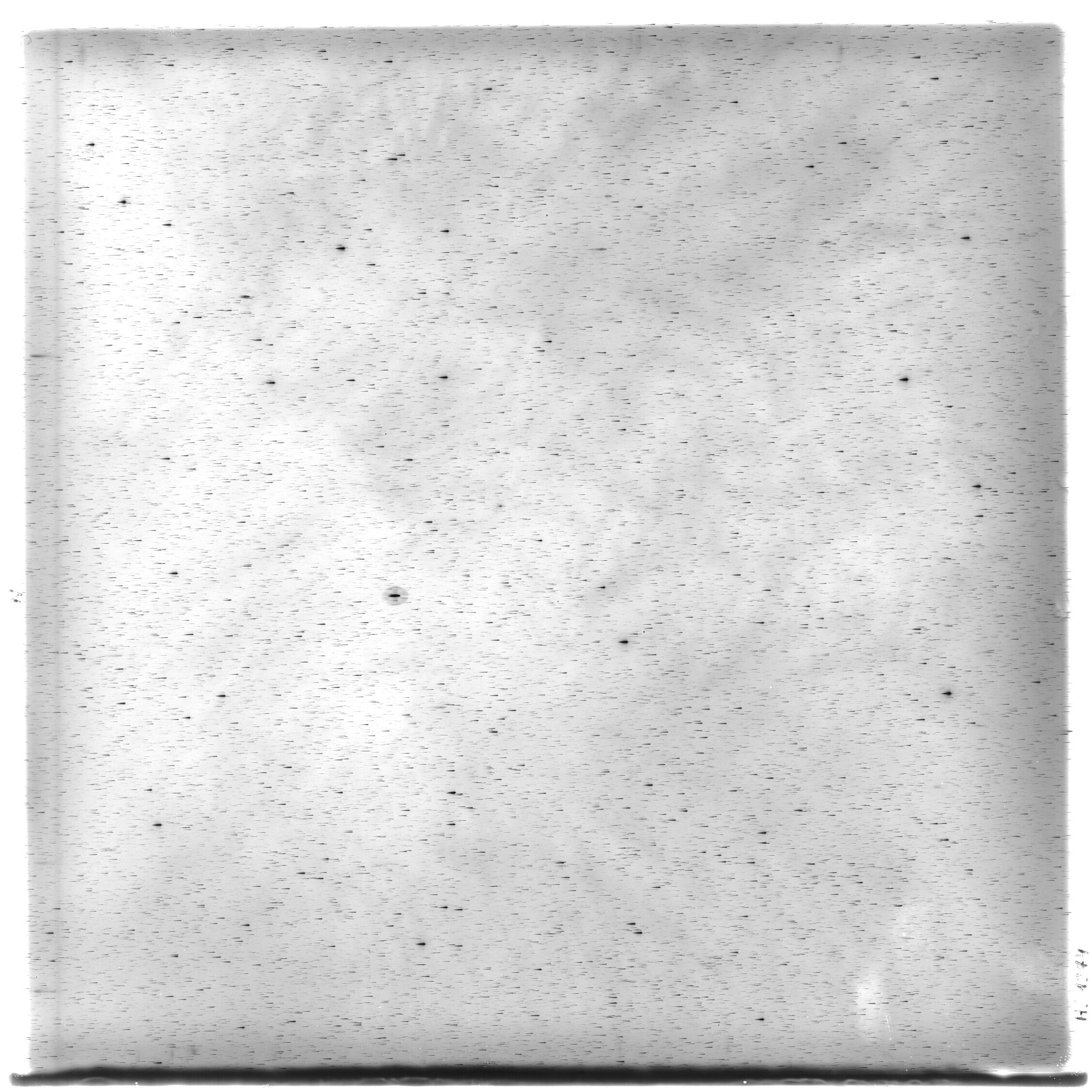 Scan HS01374