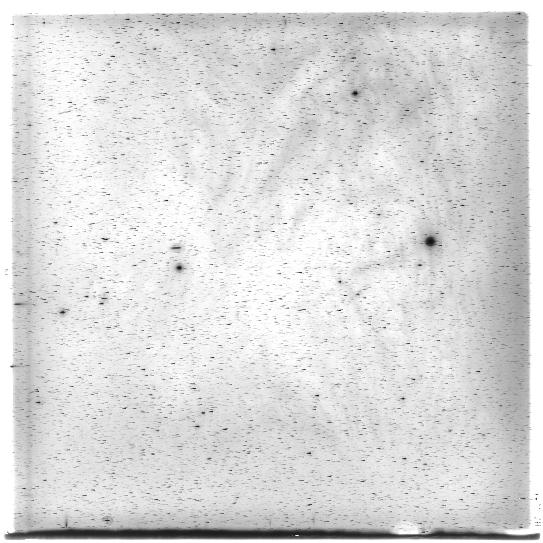 Scan HS01380