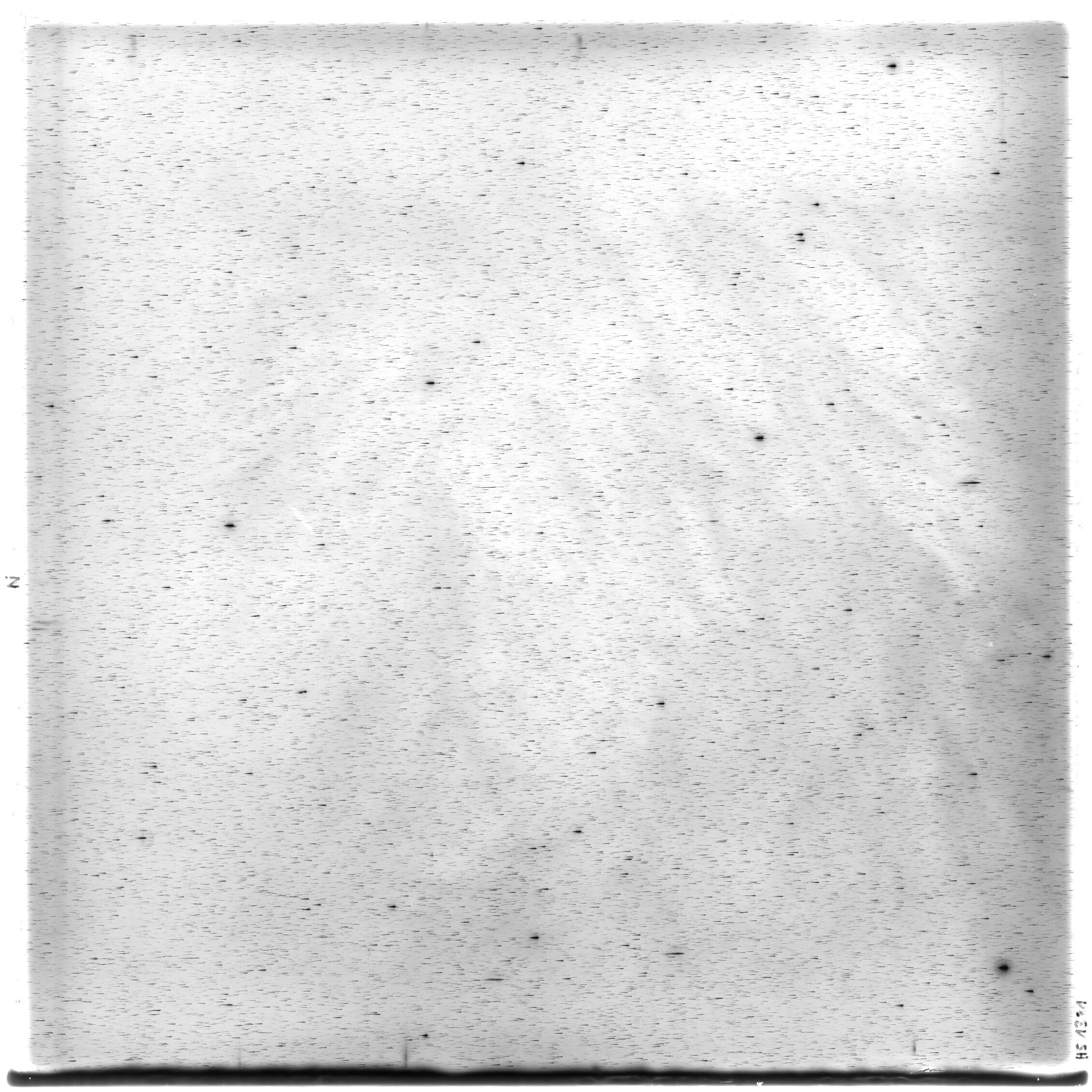 Scan HS01381