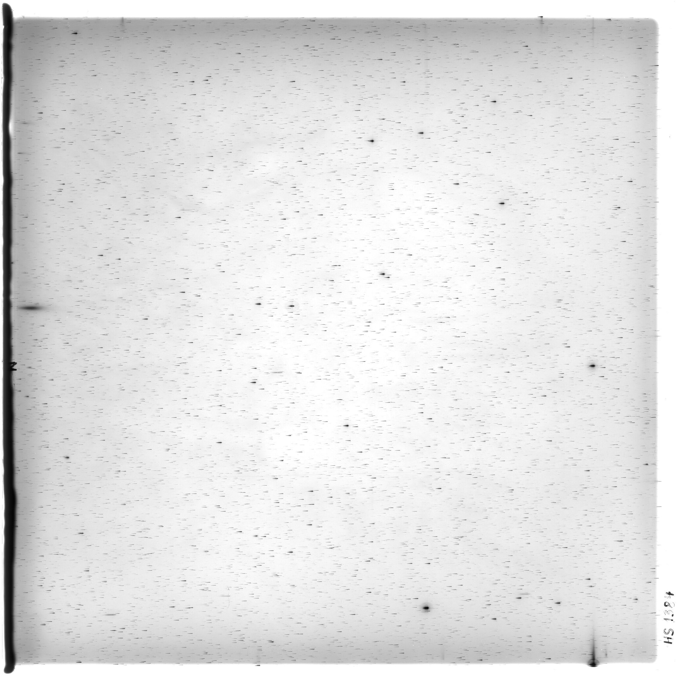 Scan HS01384