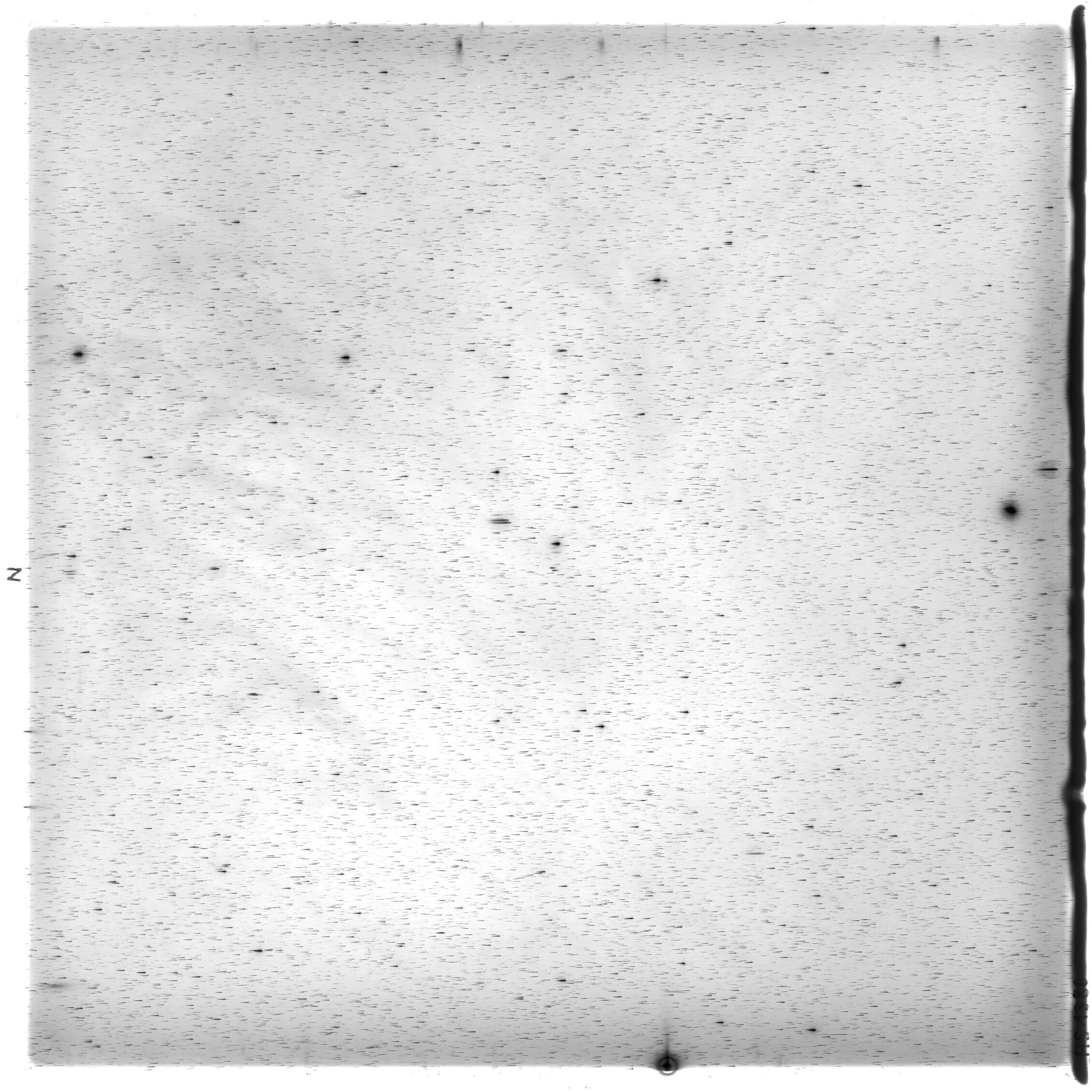 Scan HS01386