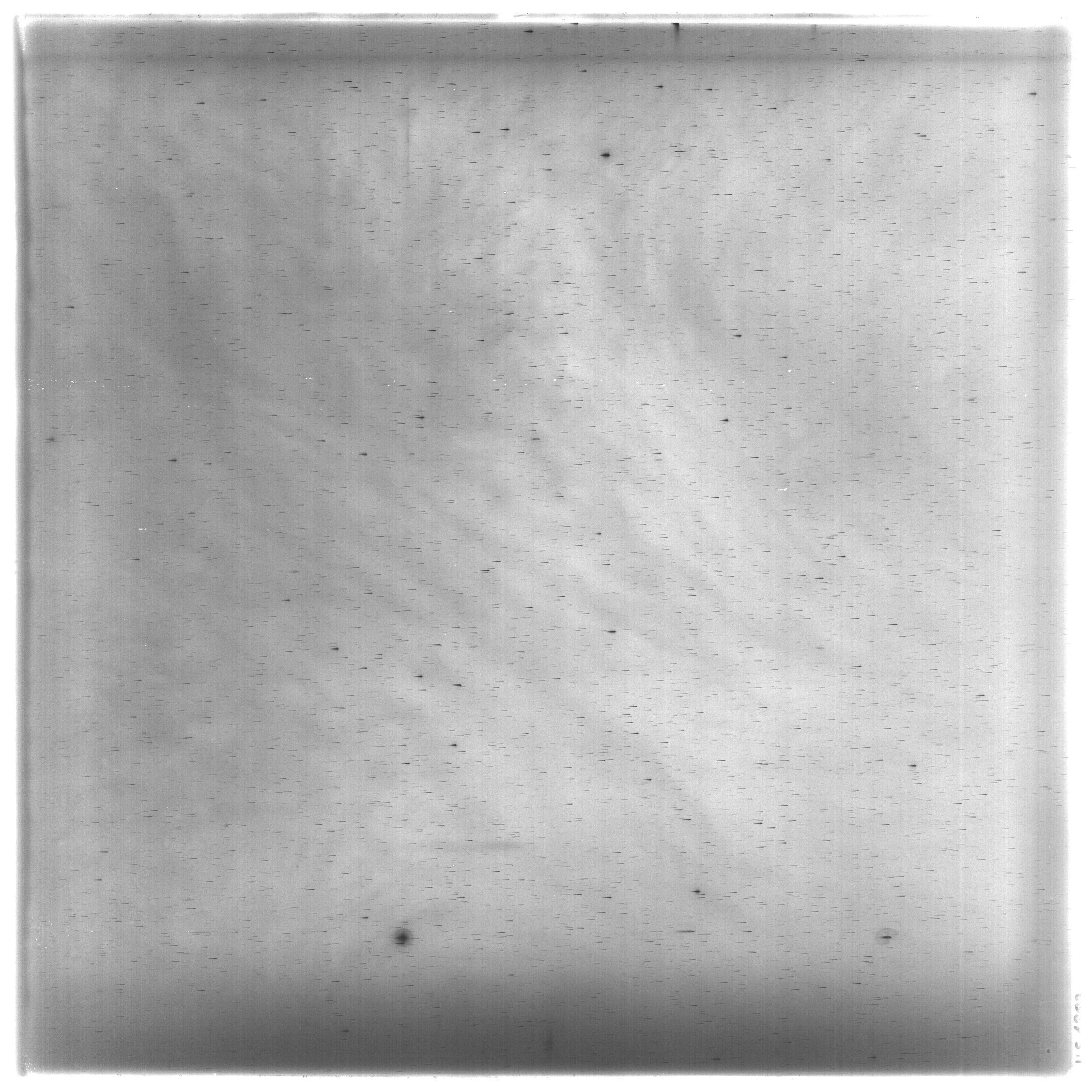 Scan HS01387