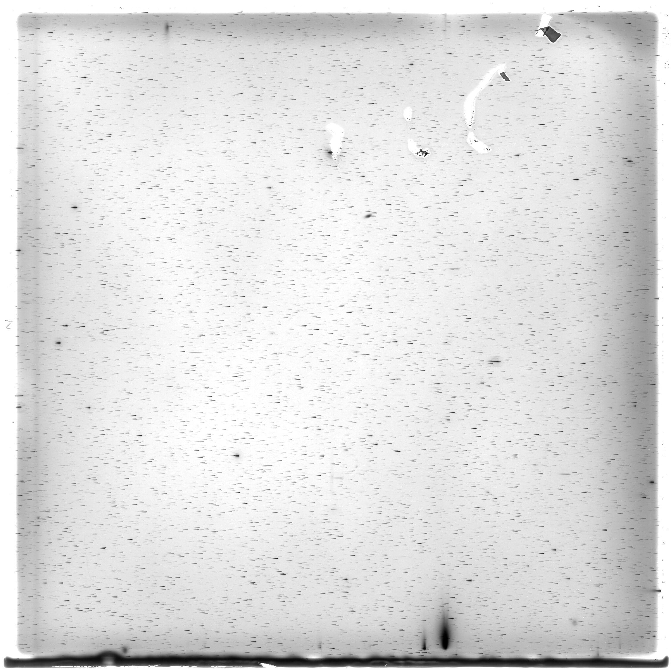 Scan HS01419
