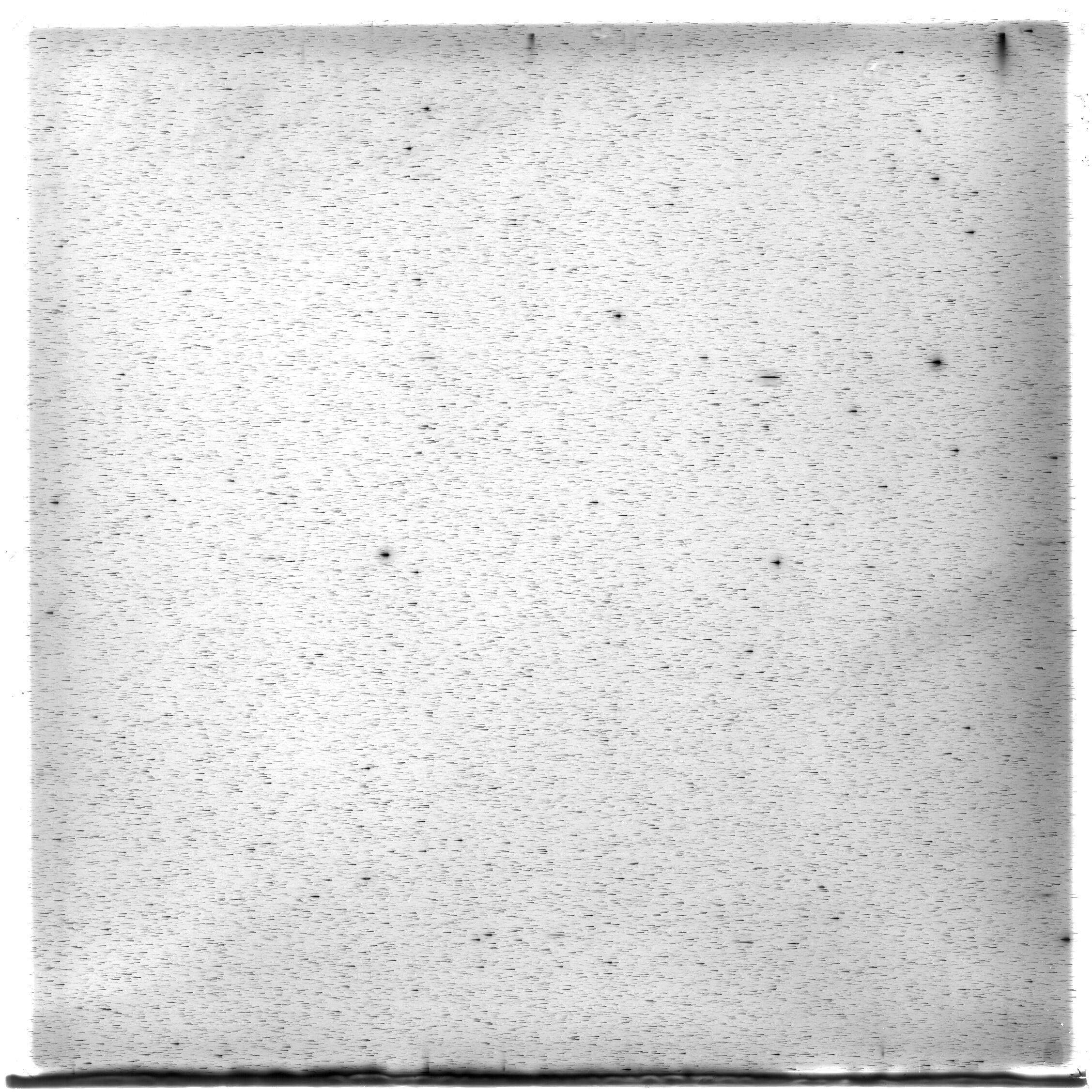 Scan HS01421