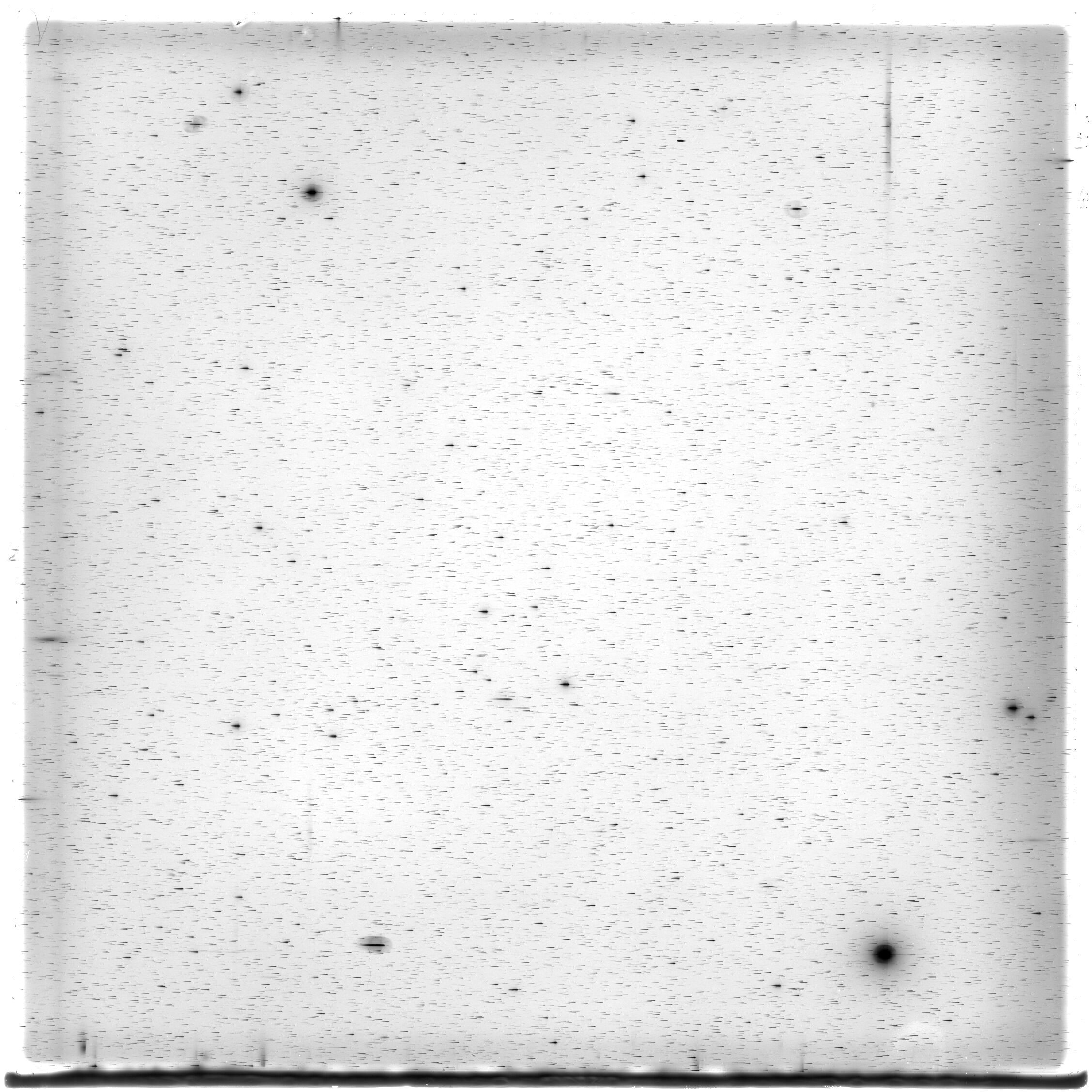Scan HS01425