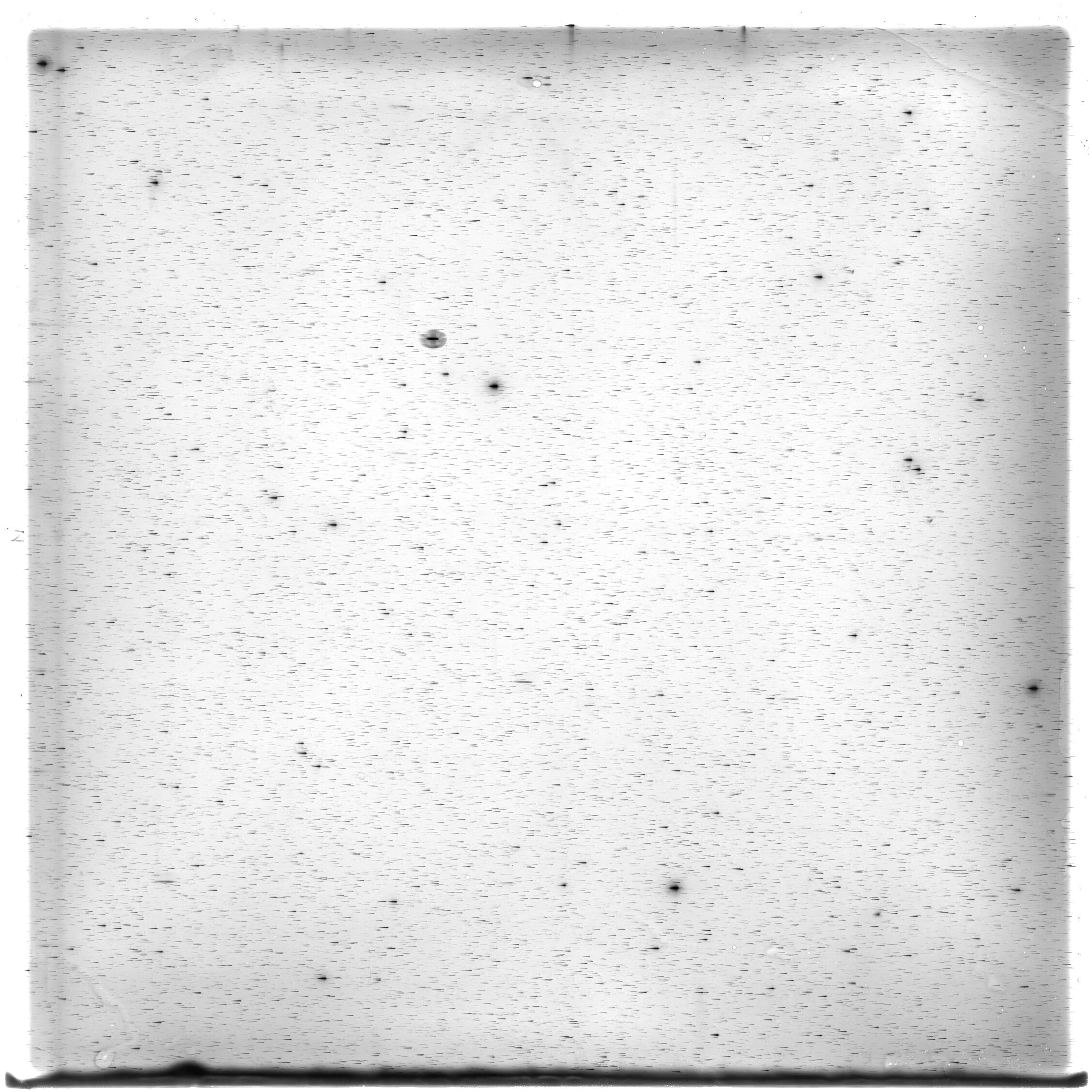 Scan HS01426