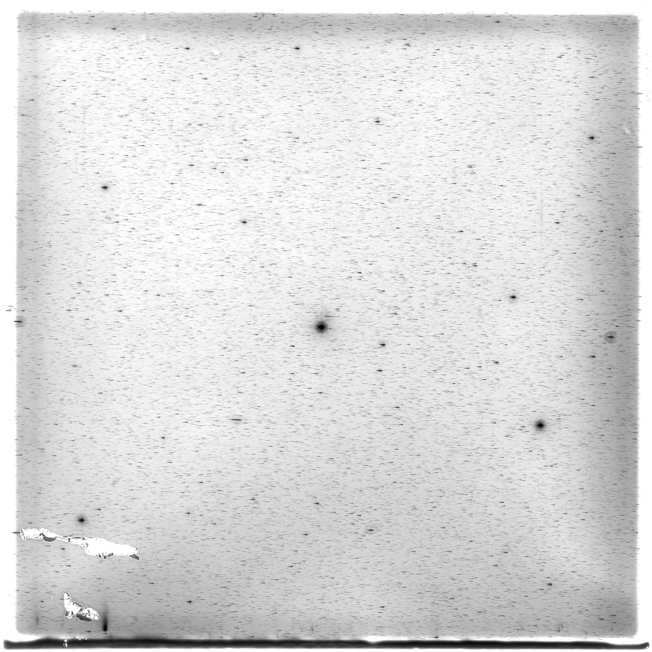 Scan HS01427