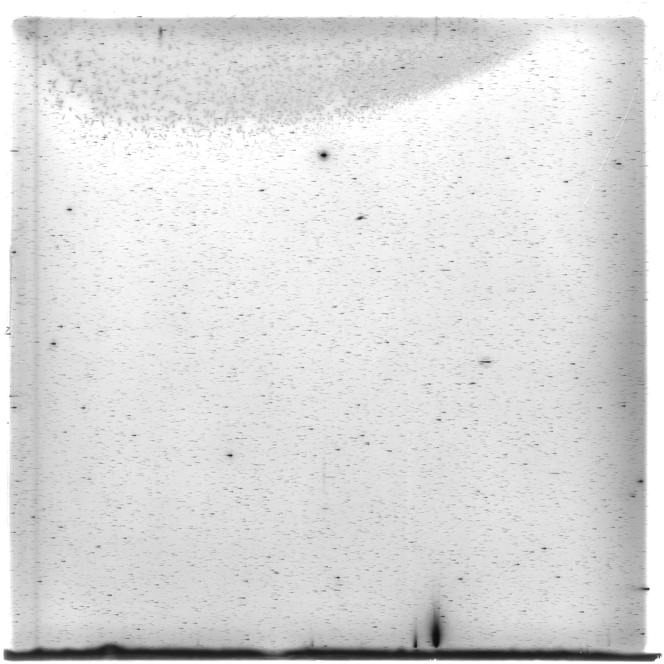 Scan HS01429
