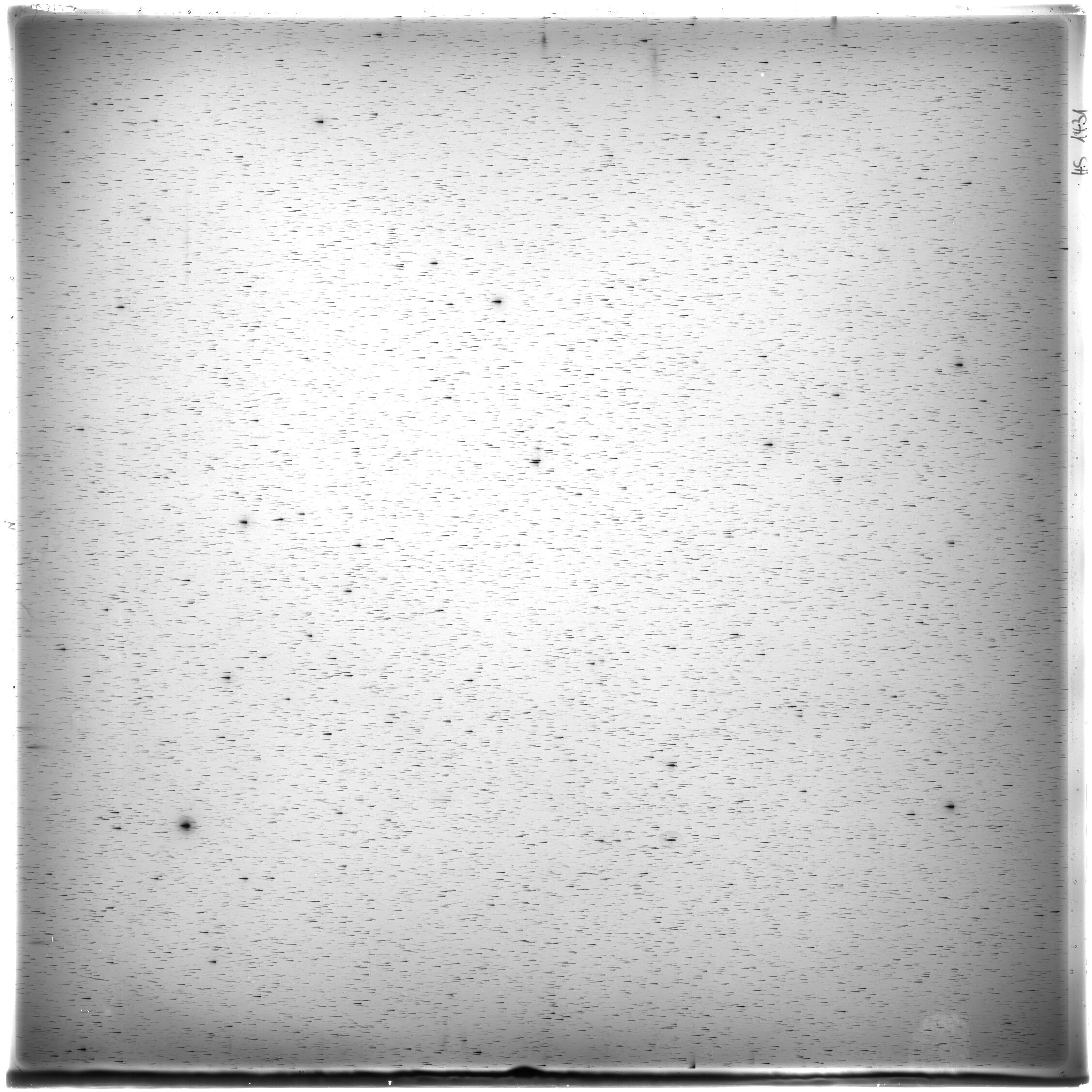 Scan HS01431