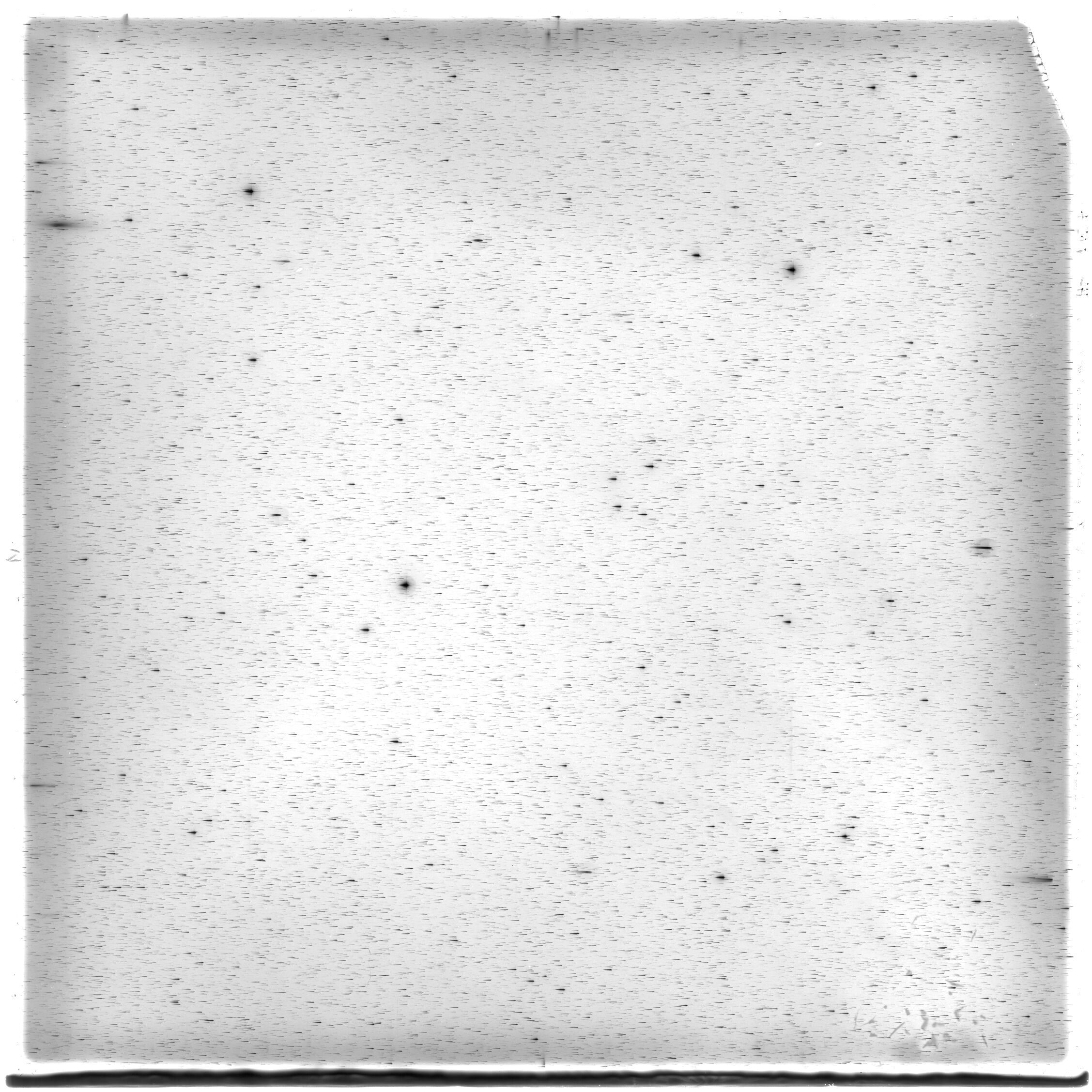 Scan HS01437