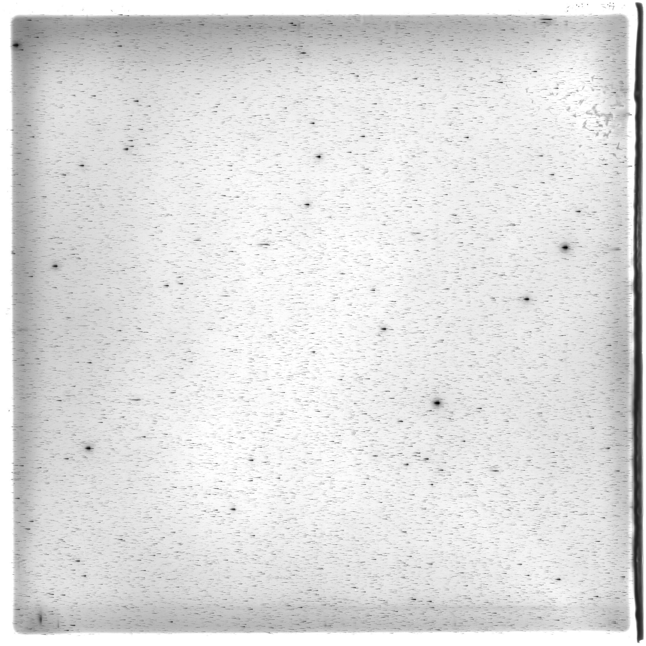 Scan HS01438