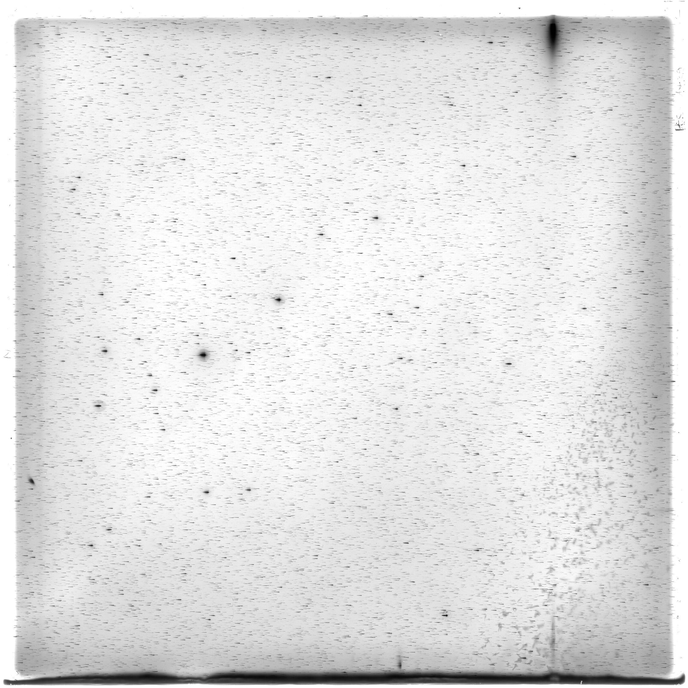 Scan HS01439