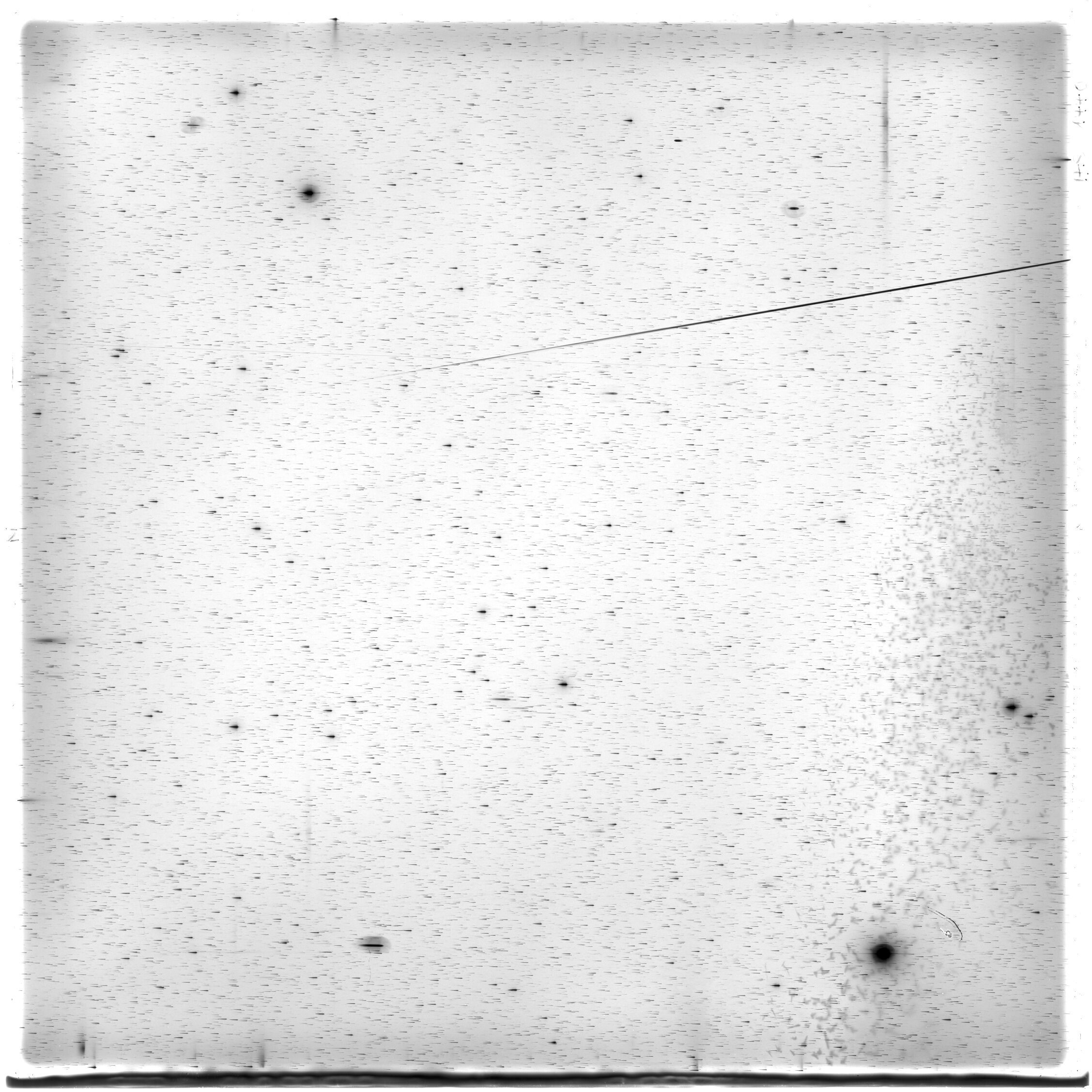 Scan HS01440
